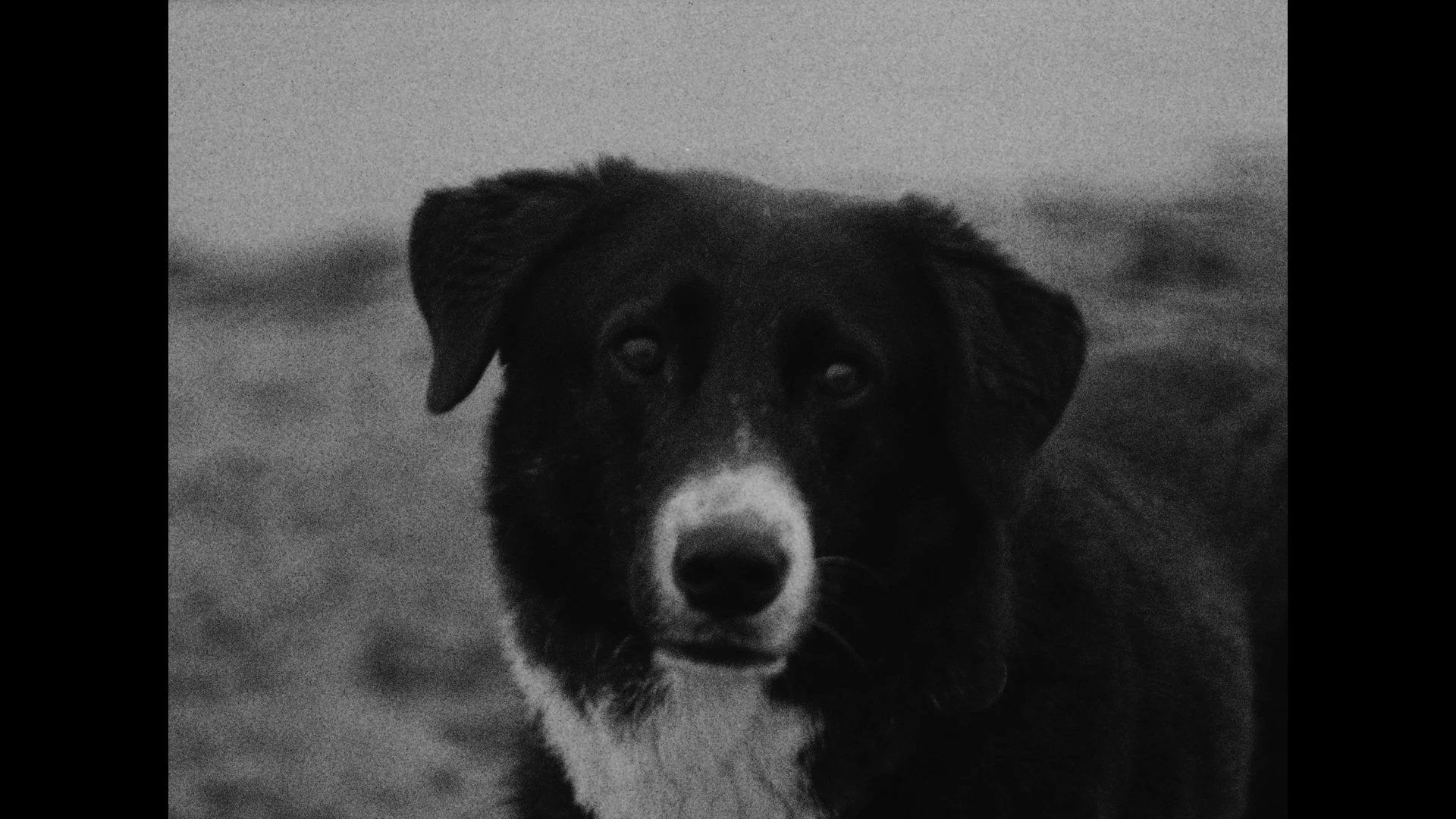 Still 2025-10-19 185610_3.1.9.jpg