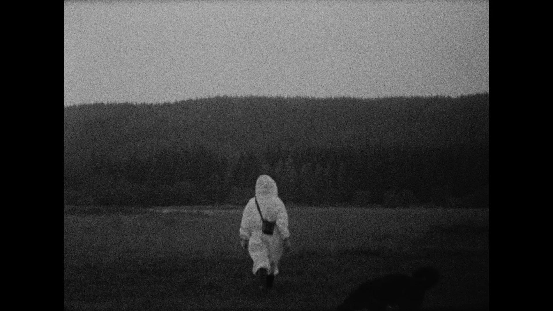 Still 2025-10-19 185610_3.1.2.jpg