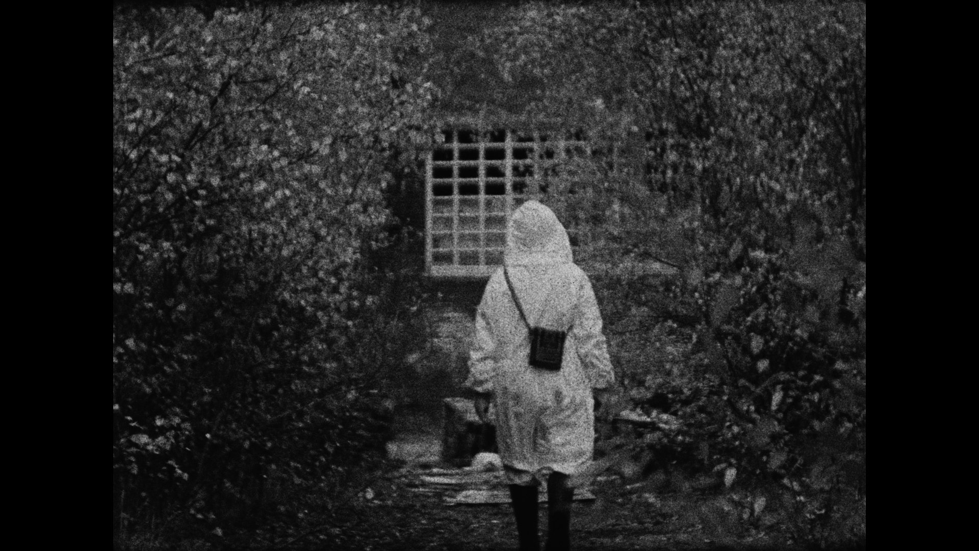 Still 2025-10-19 185610_3.1.11.jpg