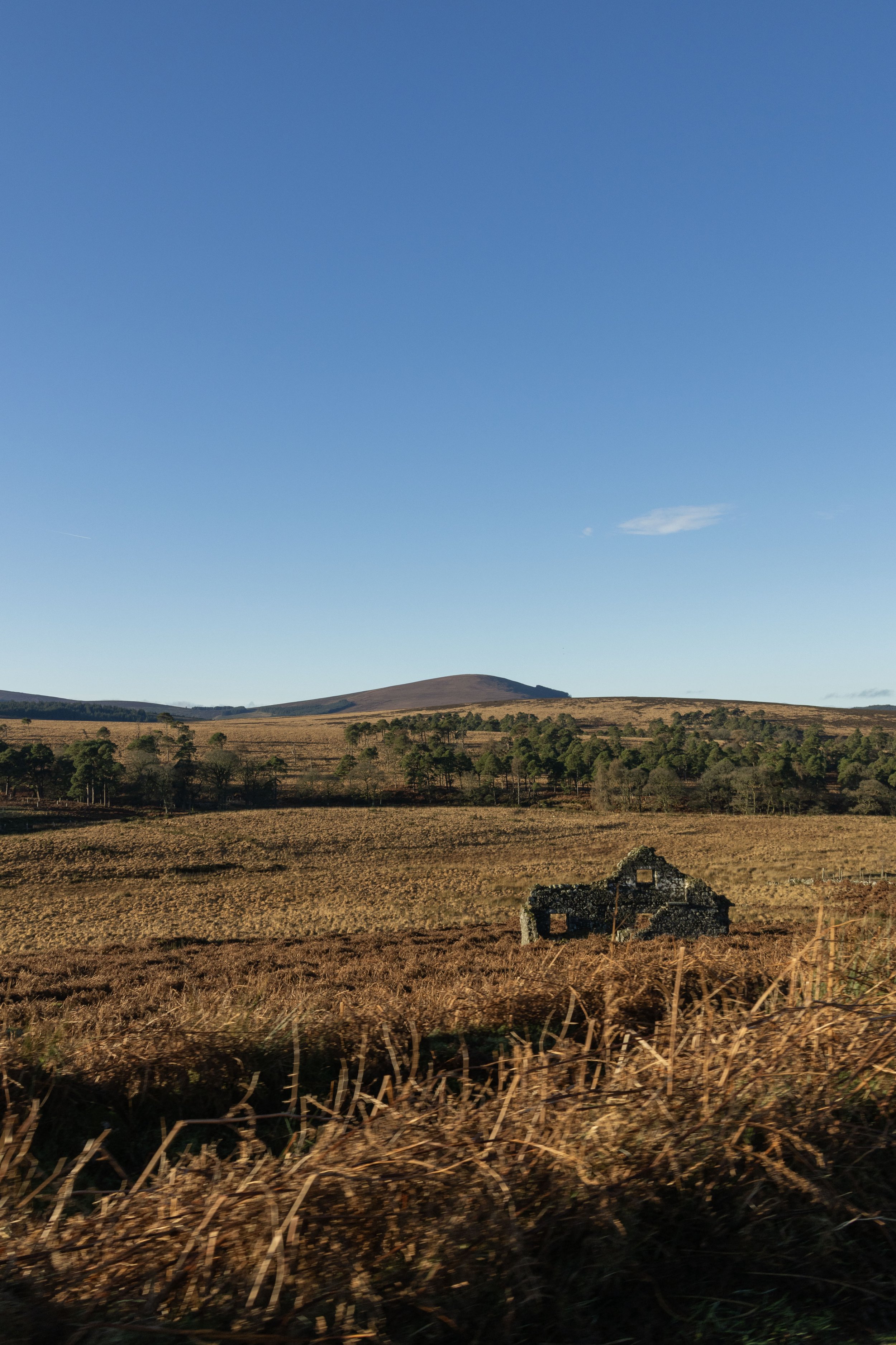 Rowan_Tyrrell_Wicklow_10.jpg