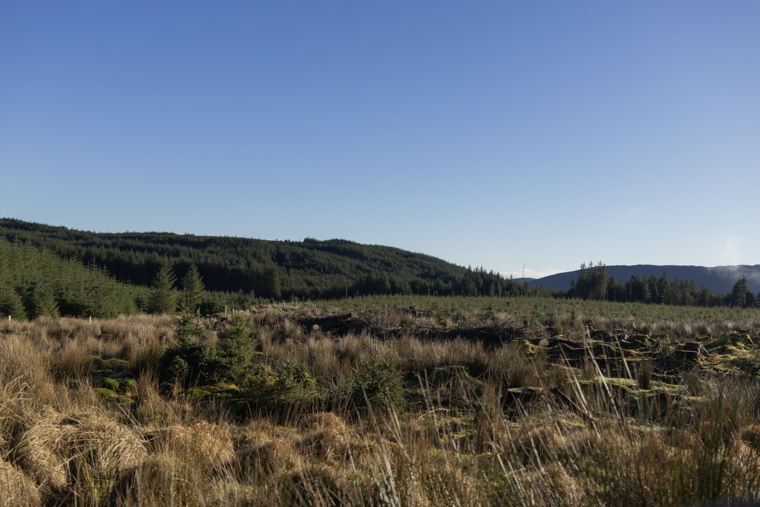 Rowan_Tyrrell_Wicklow_8.jpg