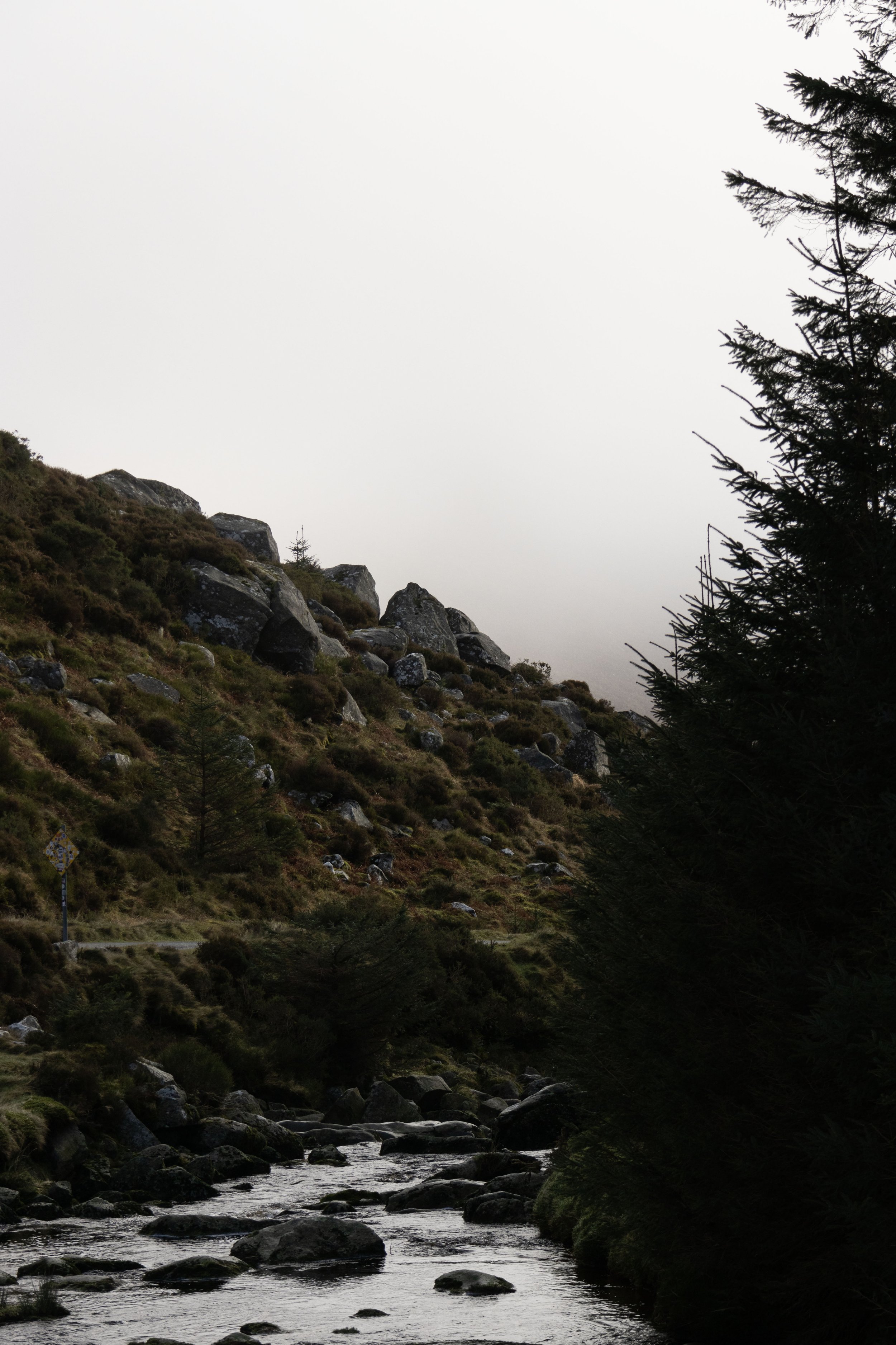 Rowan_Tyrrell_Wicklow_11.jpg