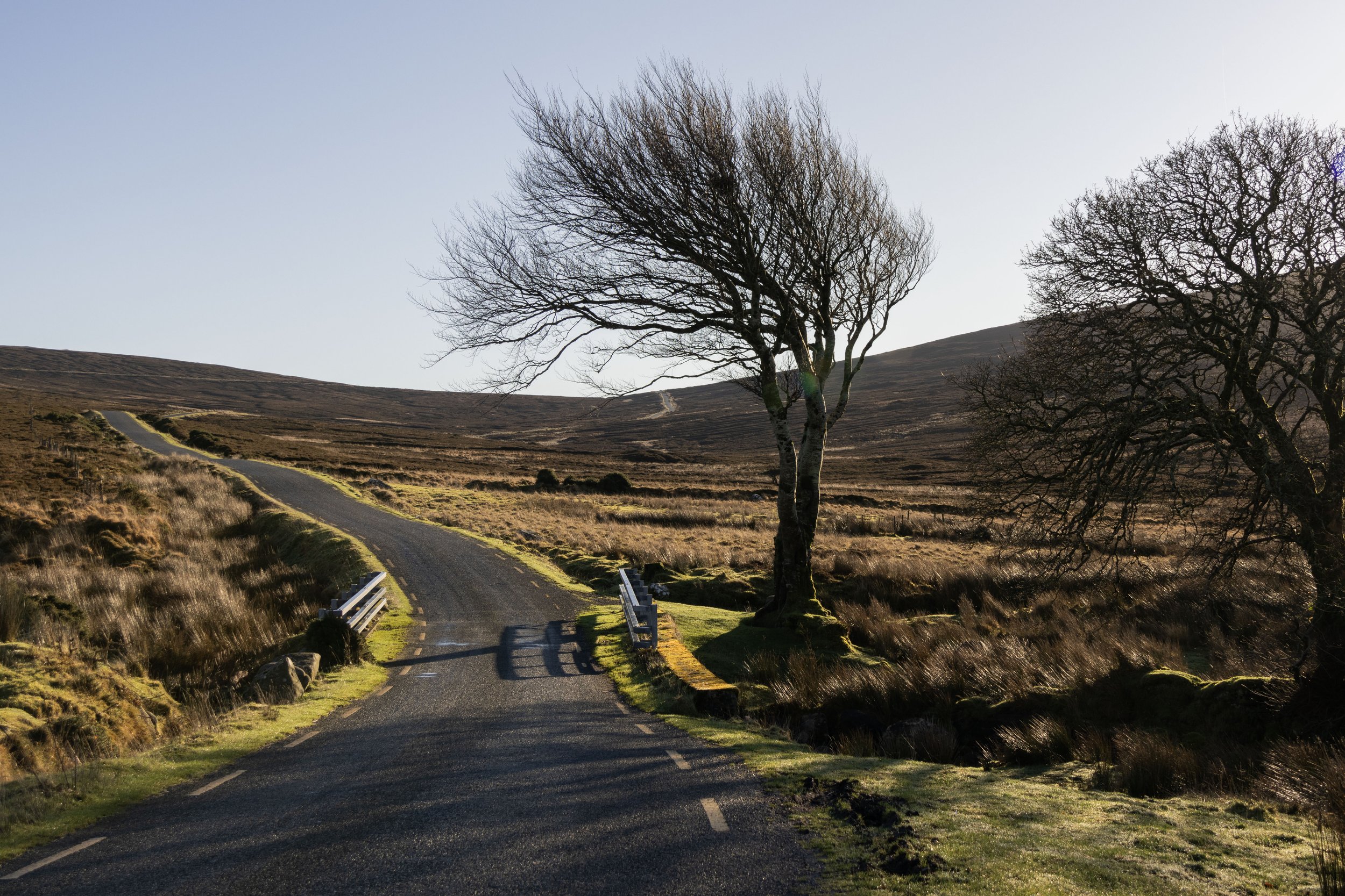 Rowan_Tyrrell_Wicklow_4.jpg