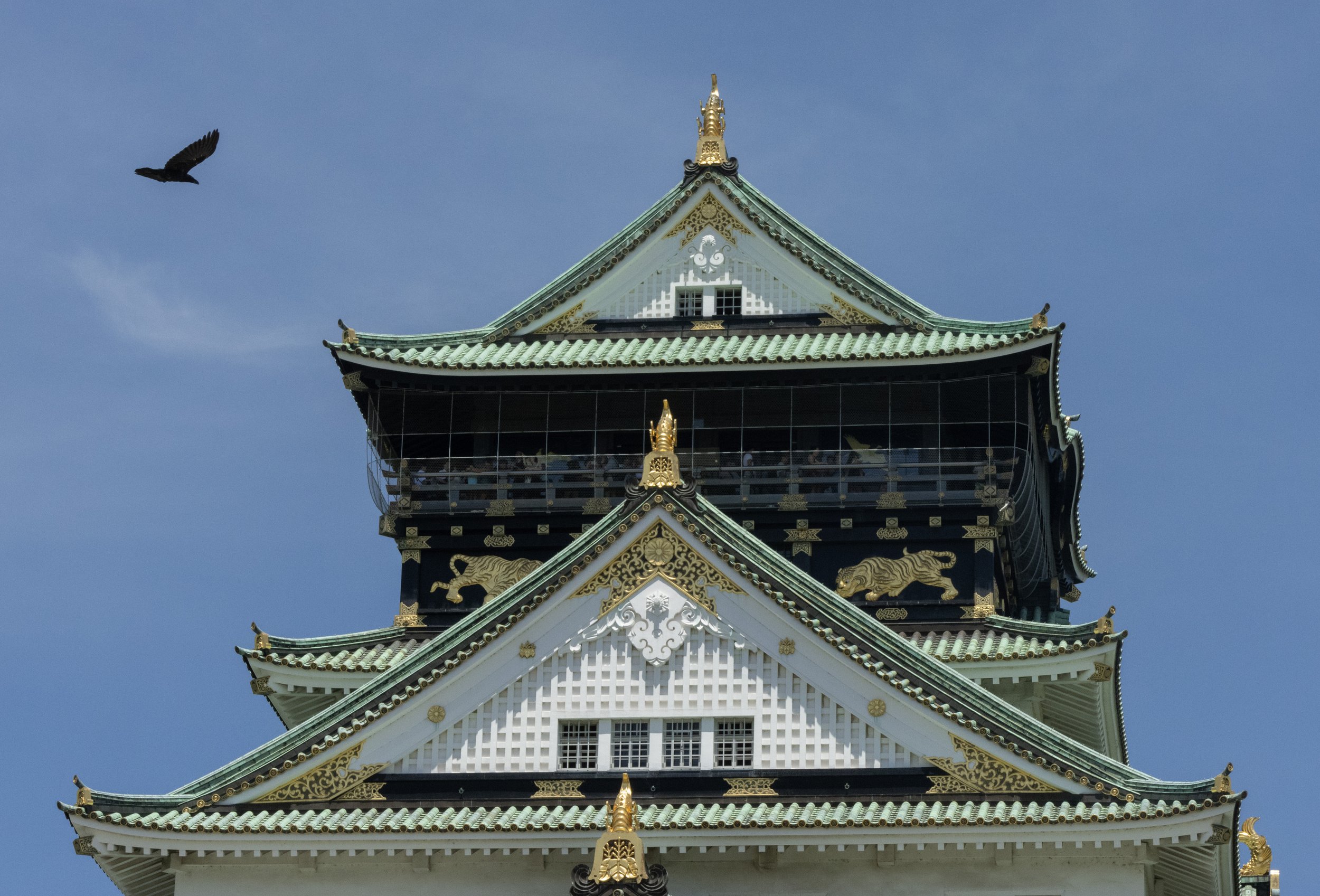 Rowan_Tyrrell_Japan_2.jpg