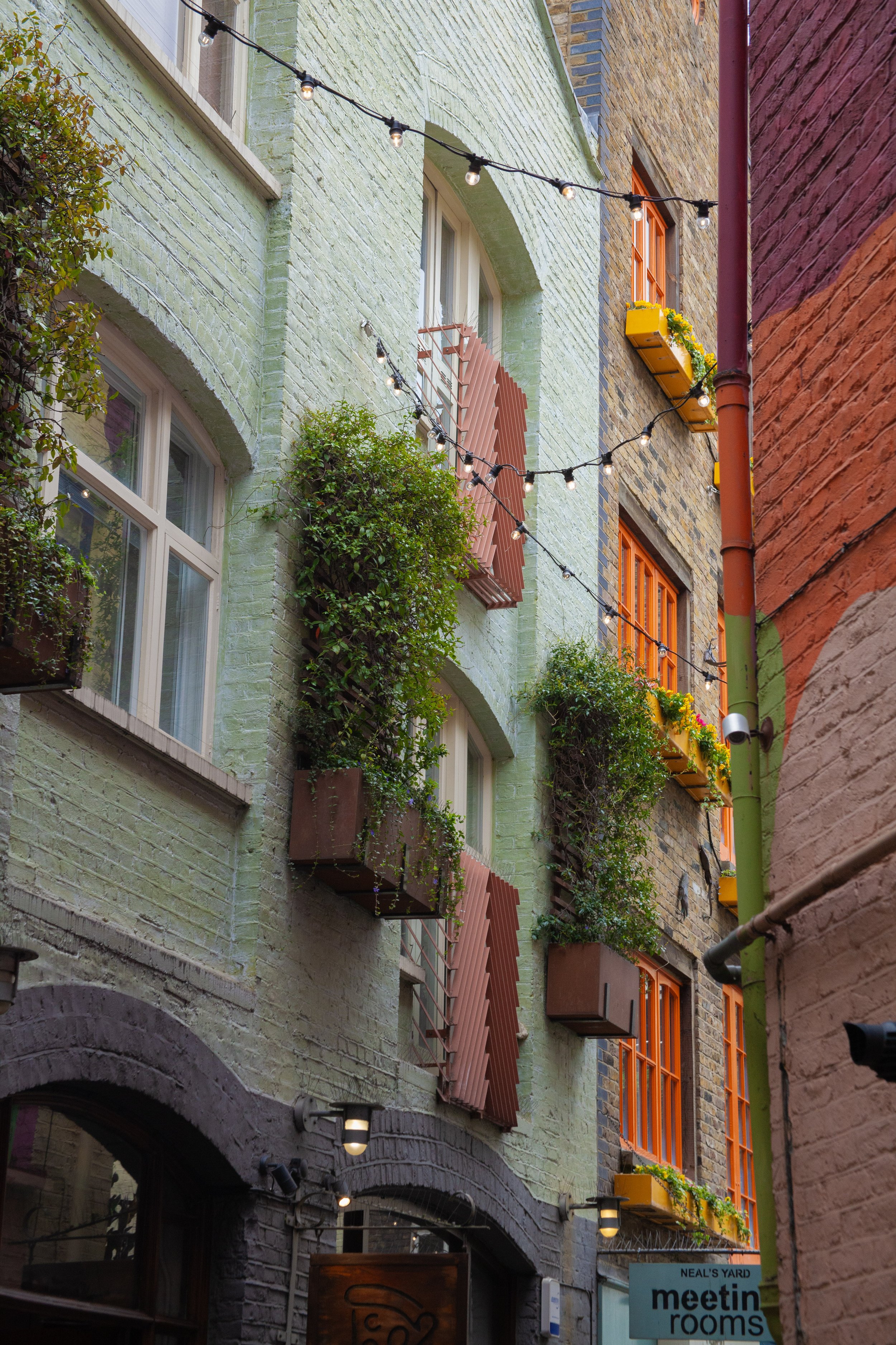 Rowan_Tyrrell_London_6.jpg