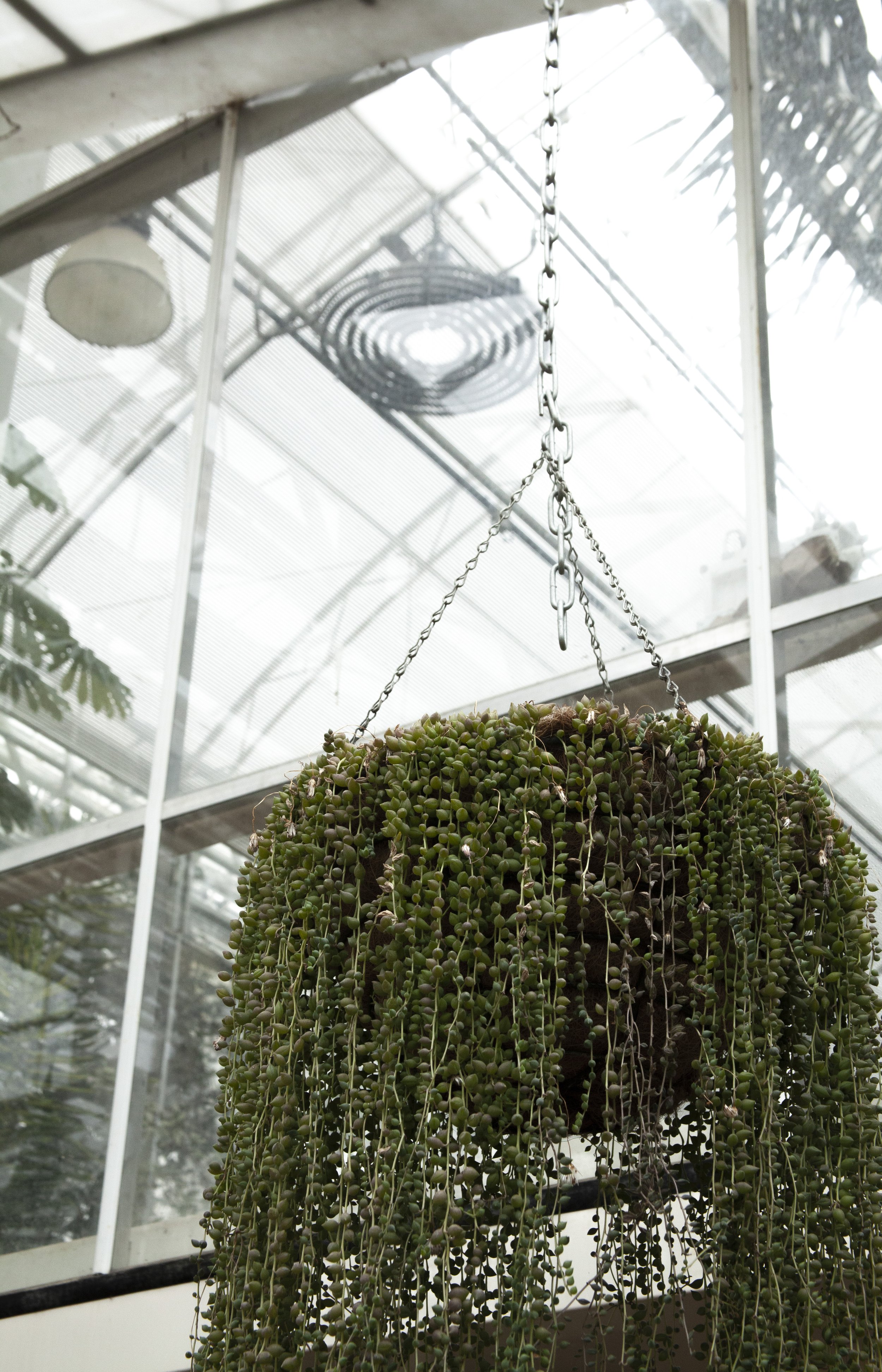 Rowan_Tyrrell_Nature_20.jpg