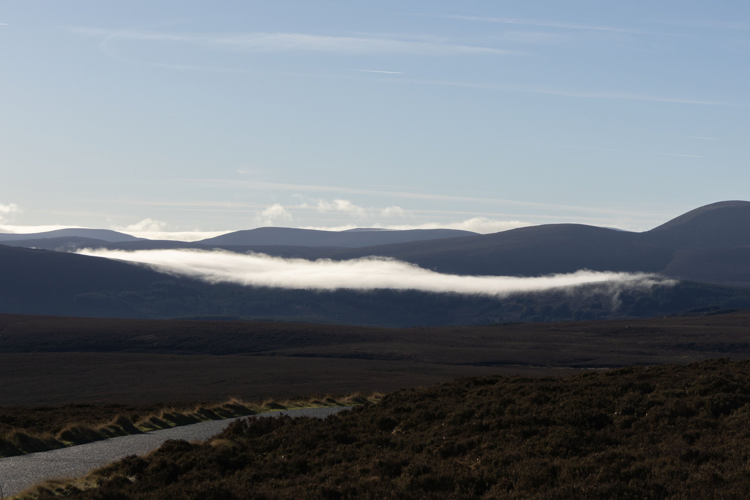Rowan_Tyrrell_Wicklow_17.jpg