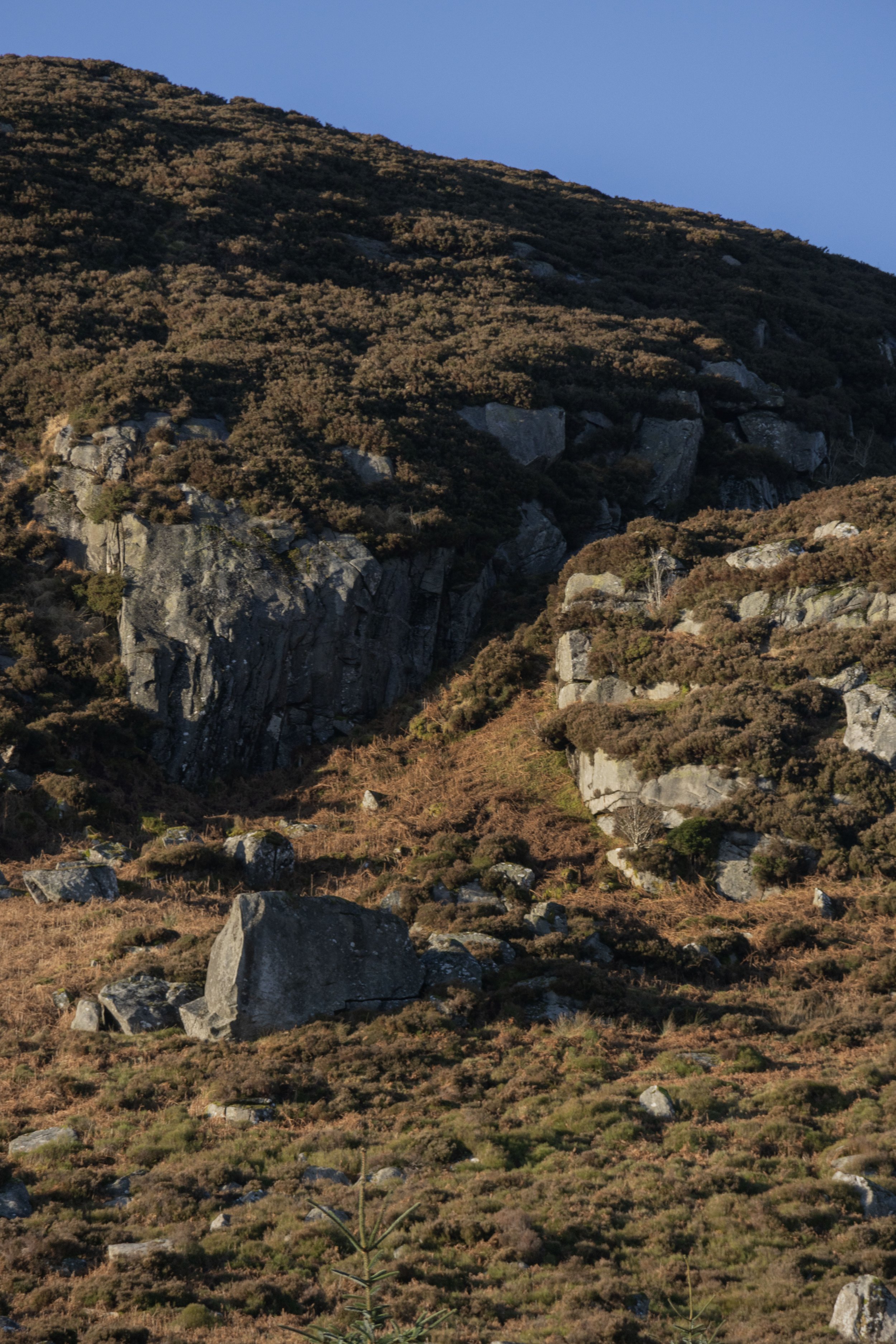 Rowan_Tyrrell_Wicklow_14.jpg