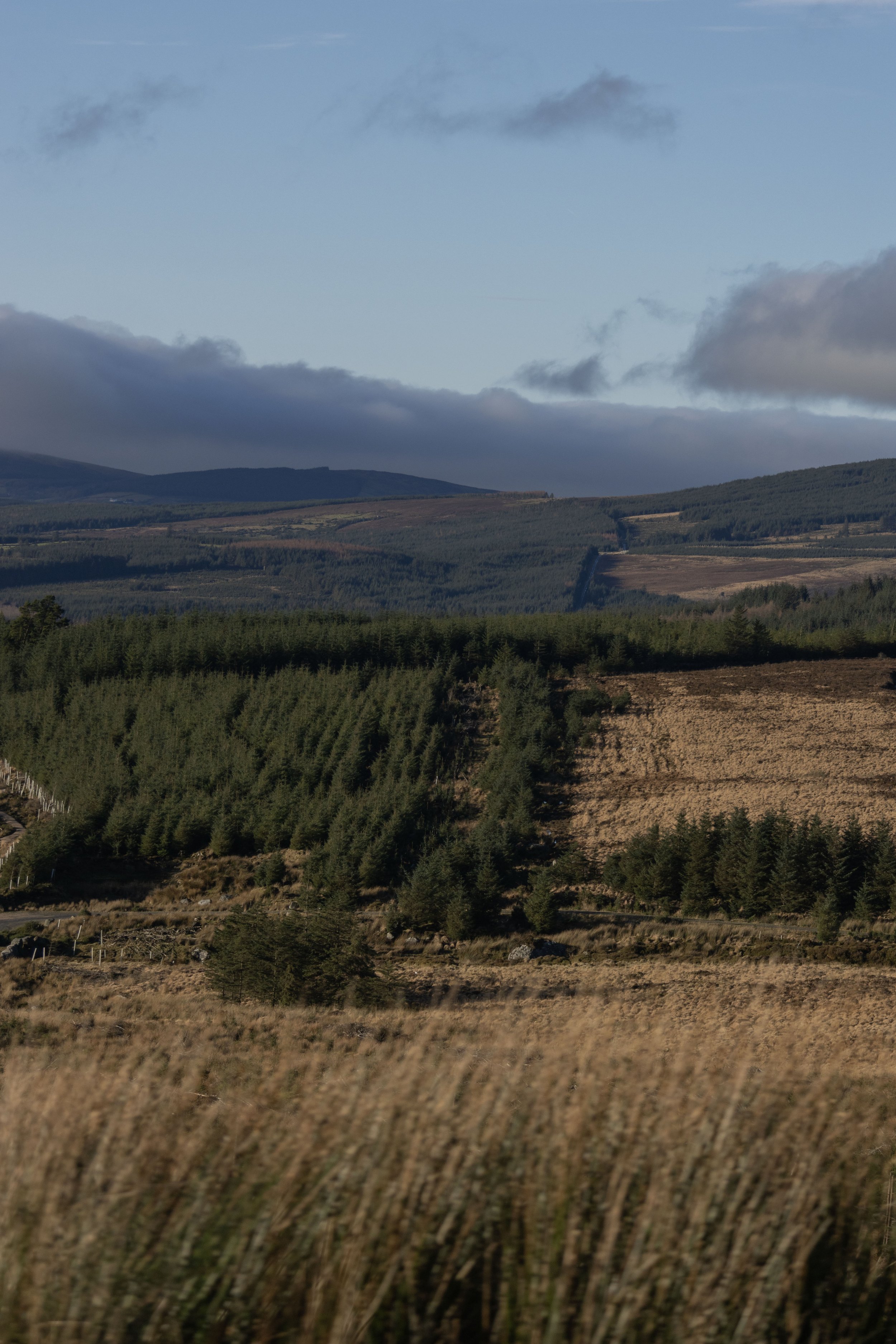 Rowan_Tyrrell_Wicklow_3.jpg