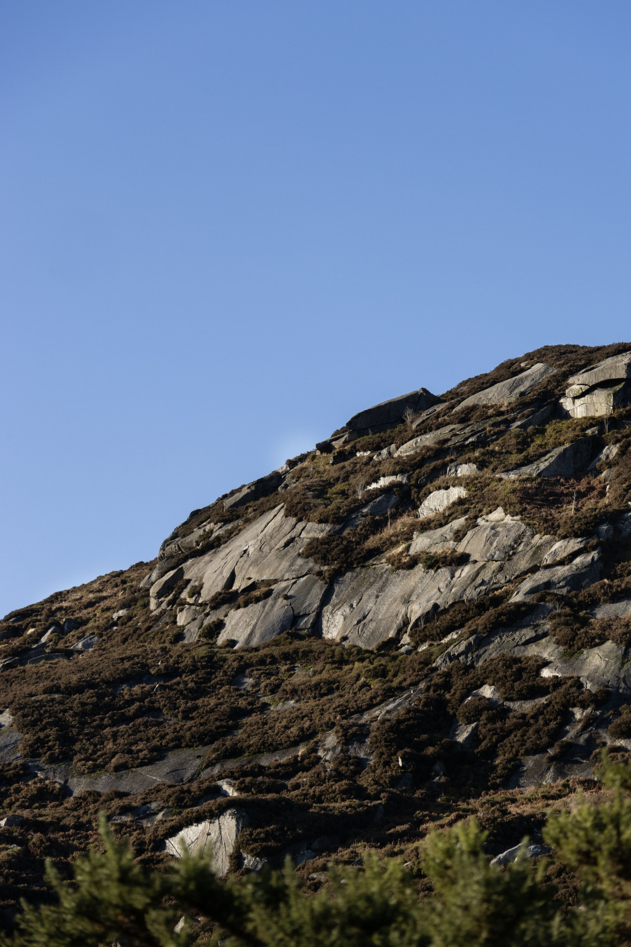 Rowan_Tyrrell_Wicklow_13.jpg