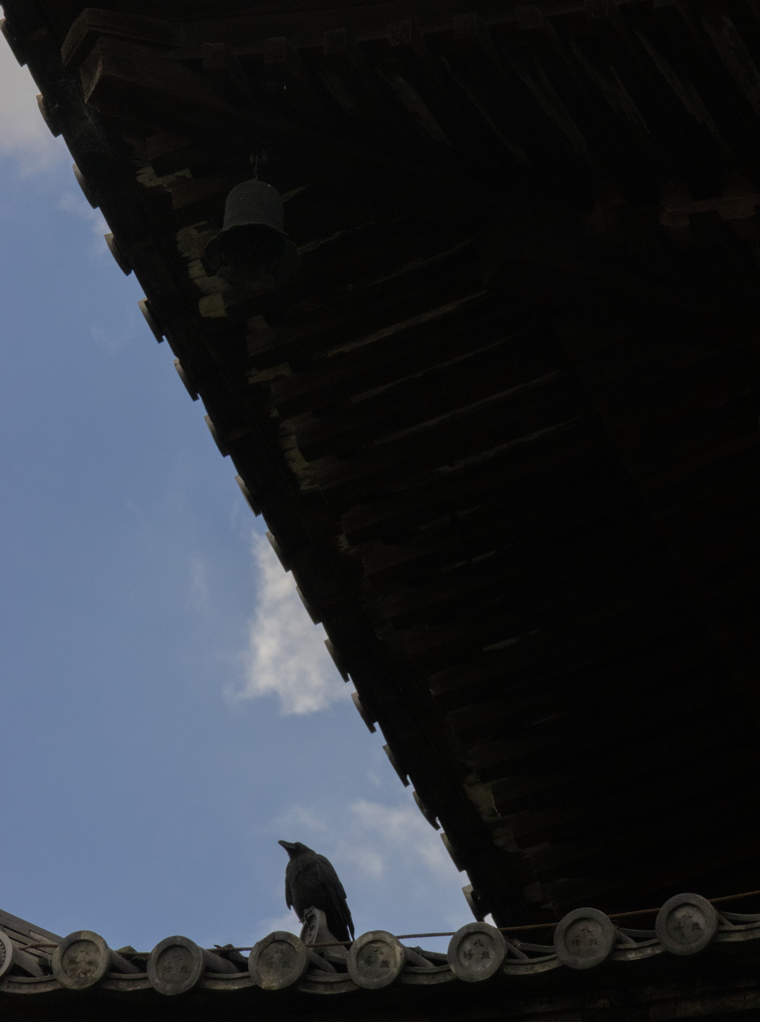 Rowan_Tyrrell_Japan_4.jpg