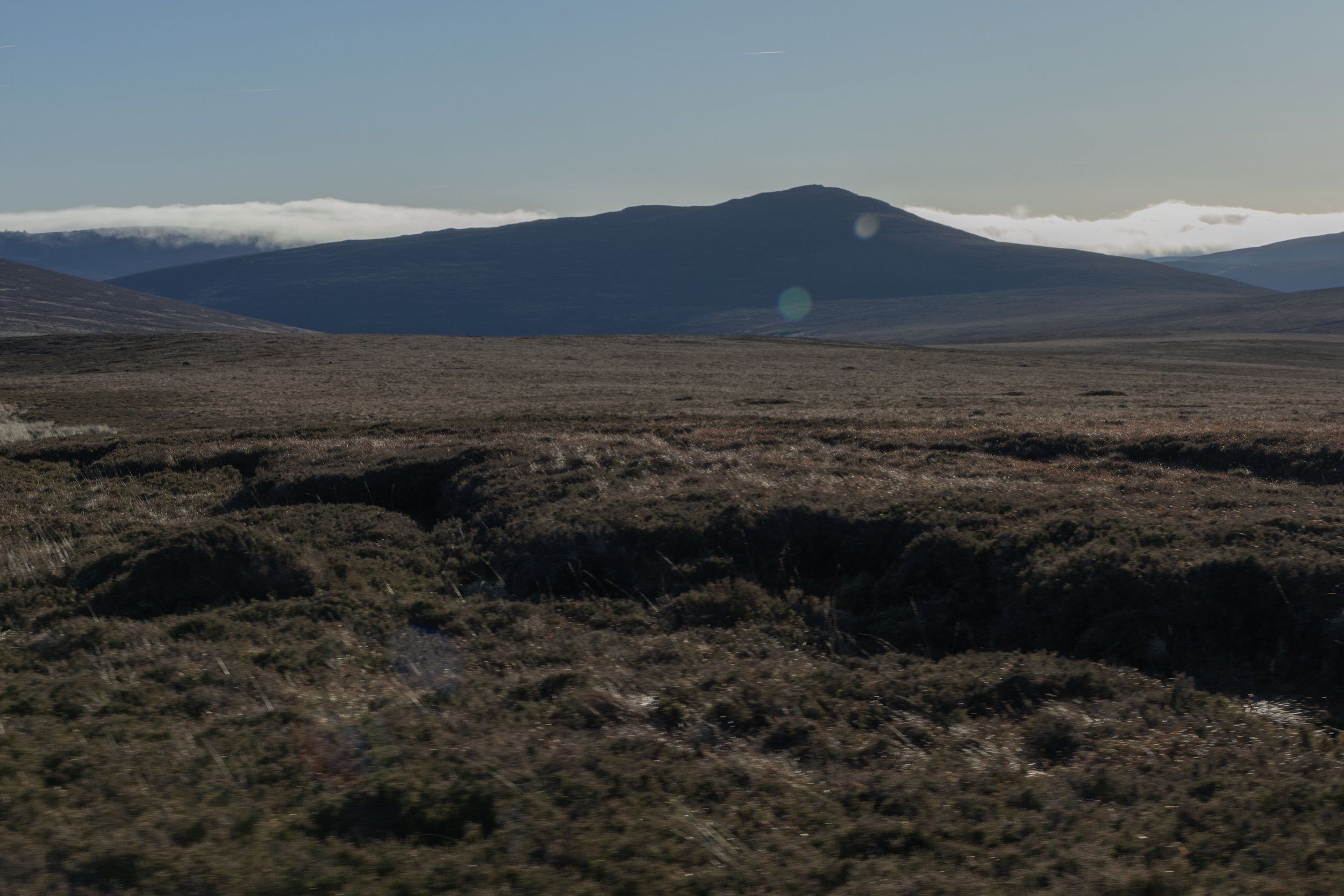 Rowan_Tyrrell_Wicklow_5.jpg