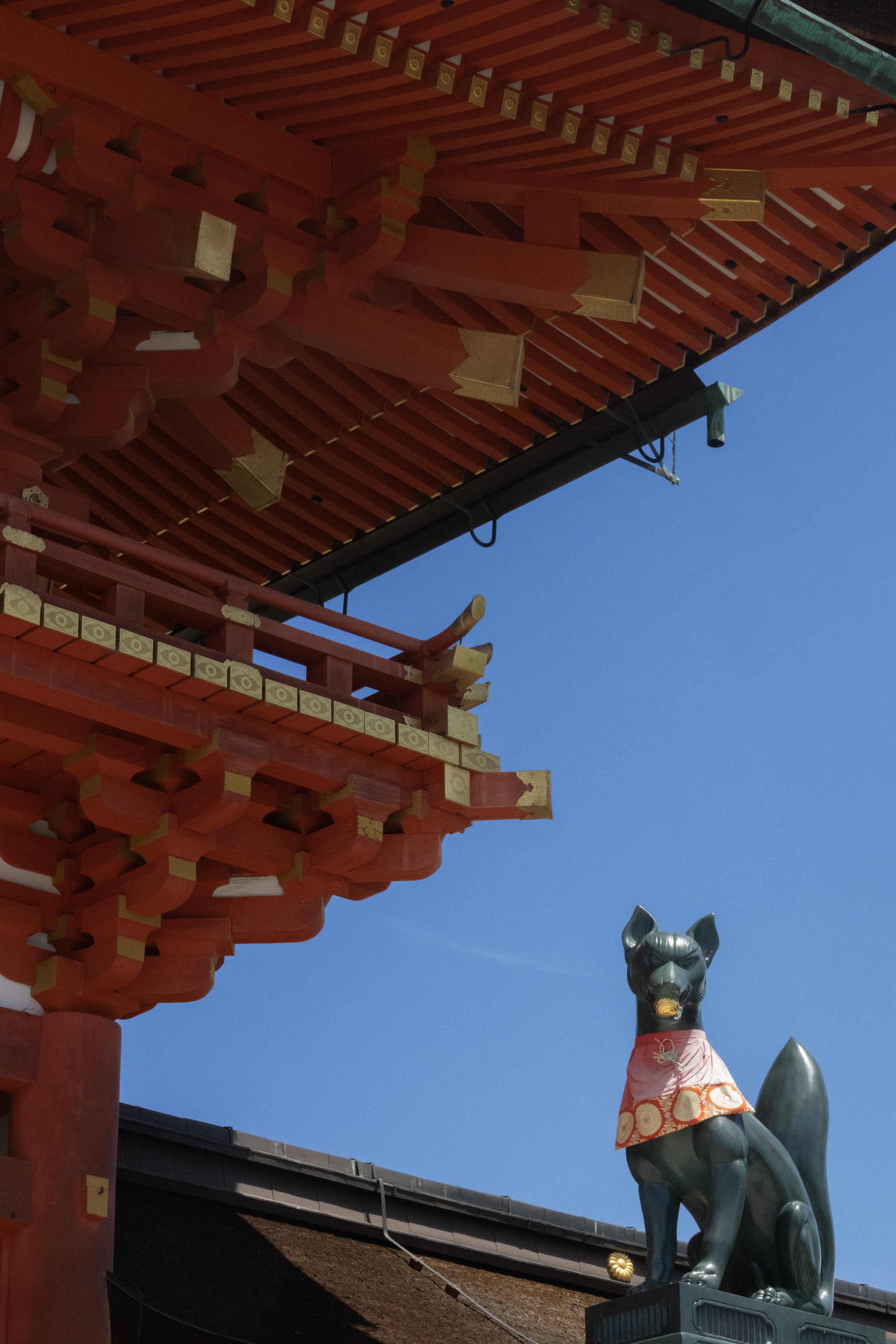 Rowan_Tyrrell_Japan_17.jpg