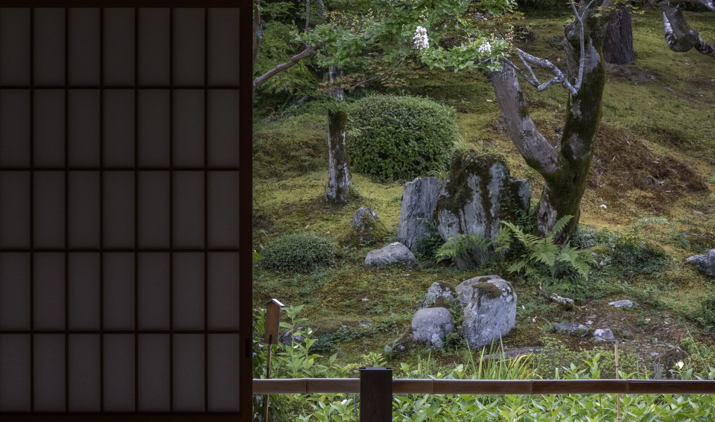 Rowan_Tyrrell_Japan_13.jpg
