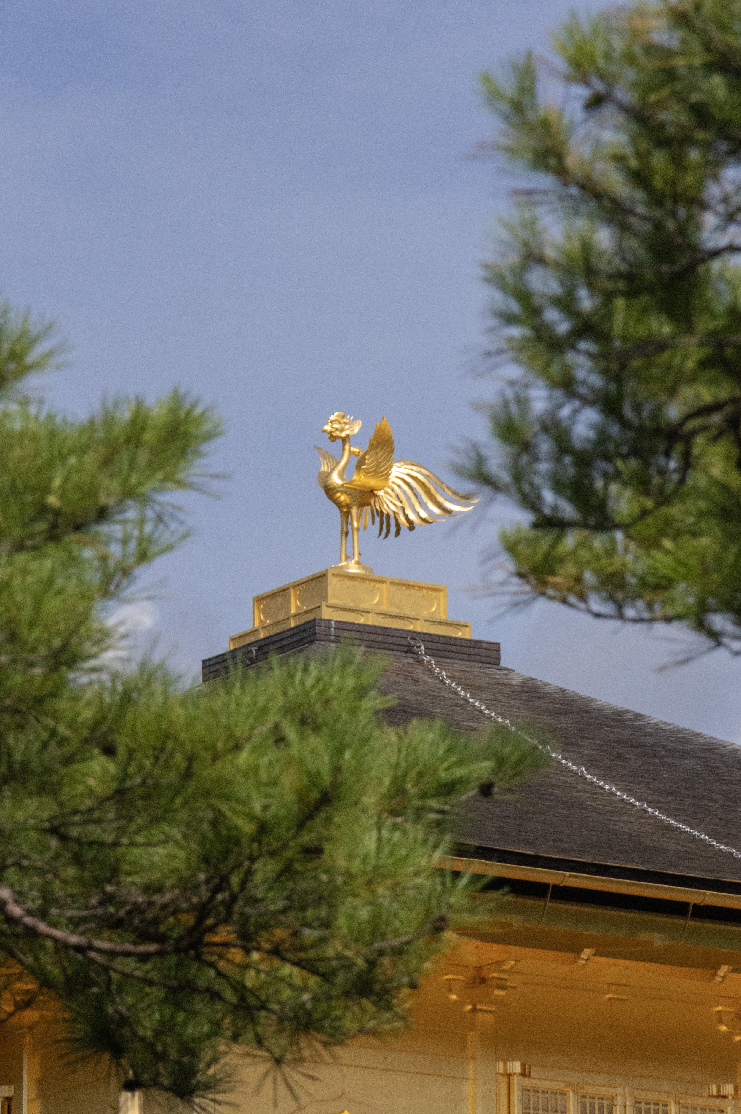 Rowan_Tyrrell_Japan_26.jpg