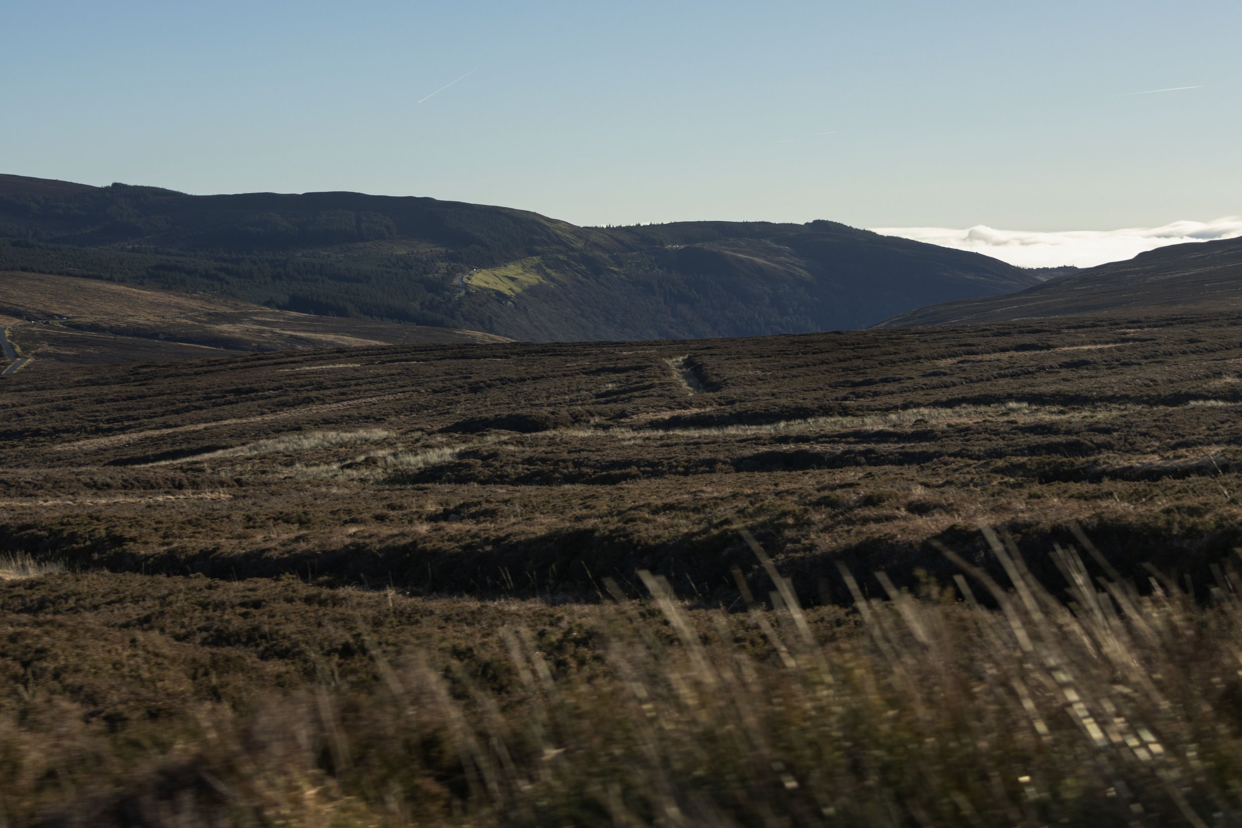 Rowan_Tyrrell_Wicklow_9.jpg