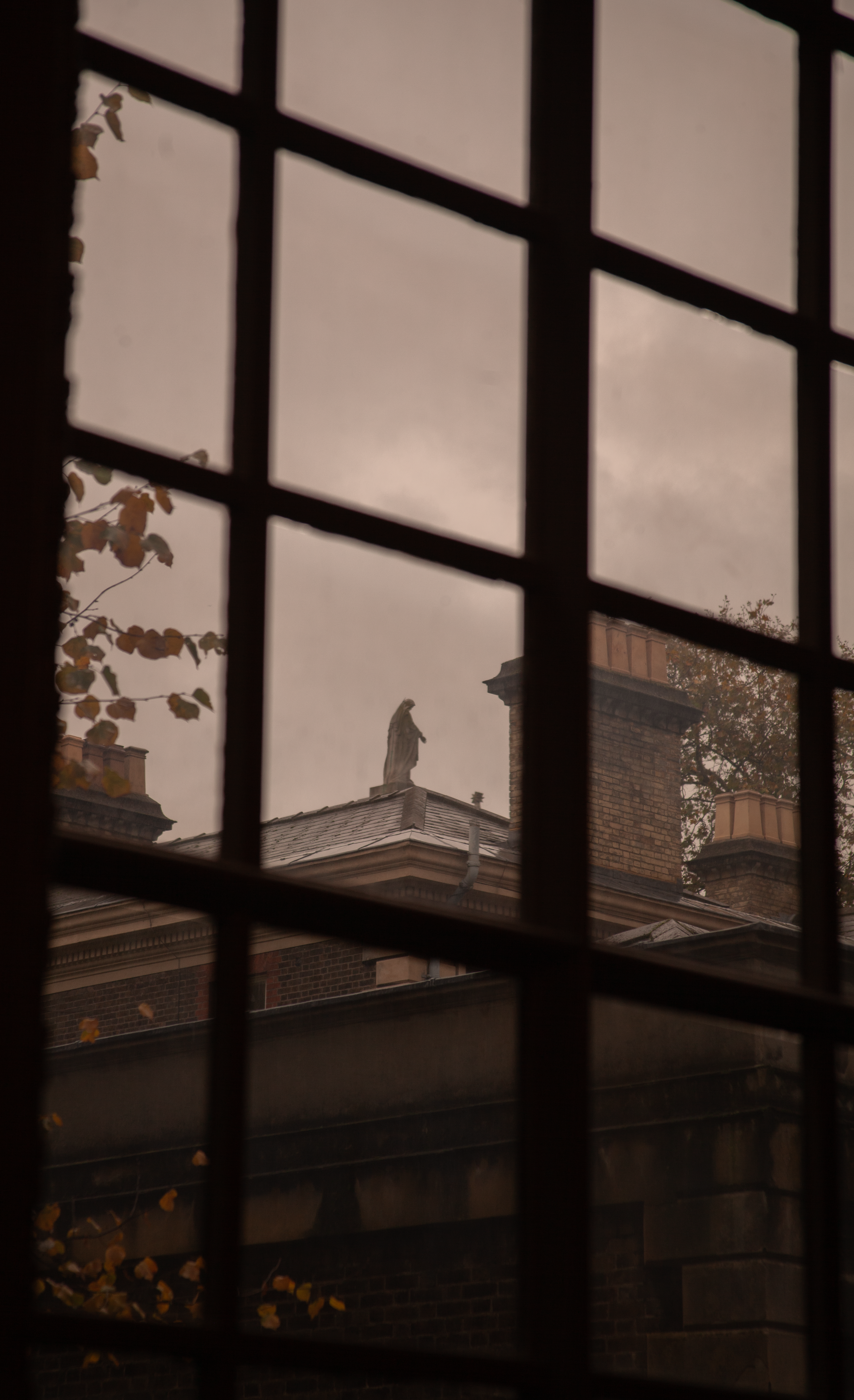 Rowan_Tyrrell_London_1.png