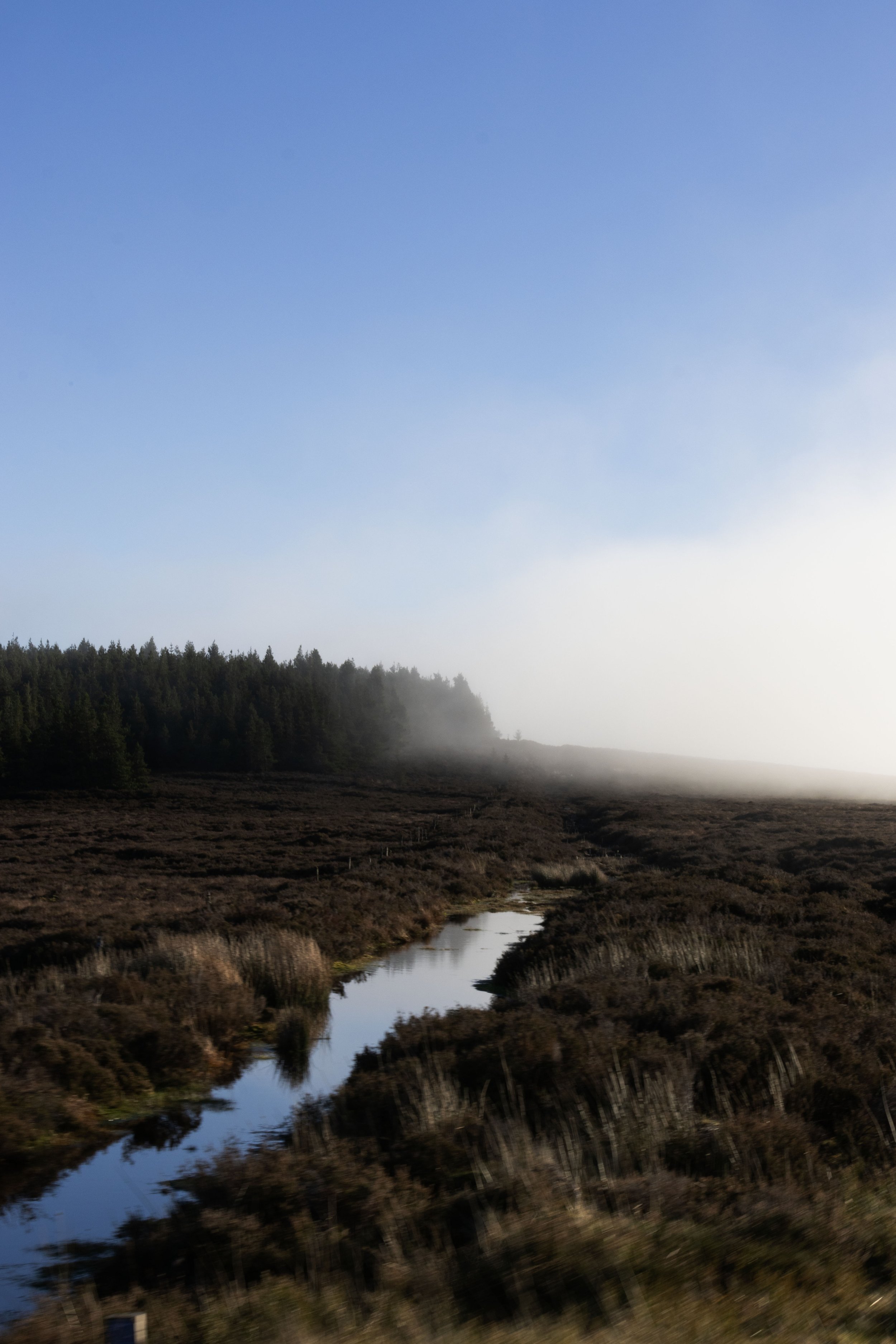 Rowan_Tyrrell_Wicklow_2.jpg