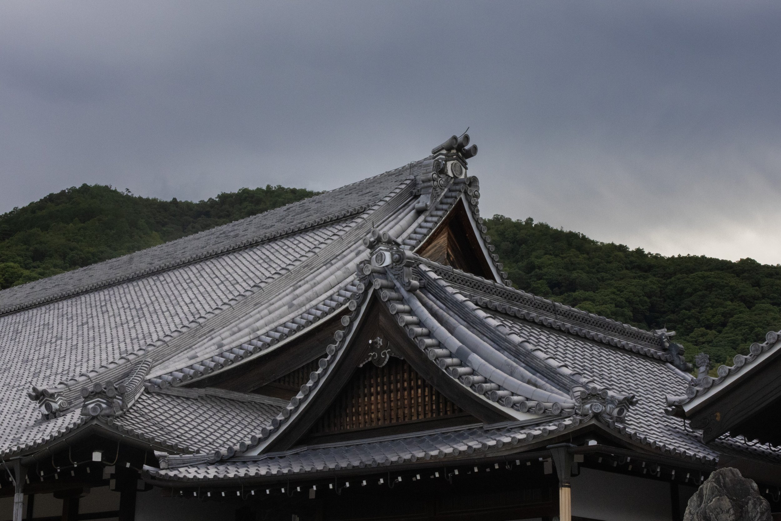 Rowan_Tyrrell_Japan_14.jpg
