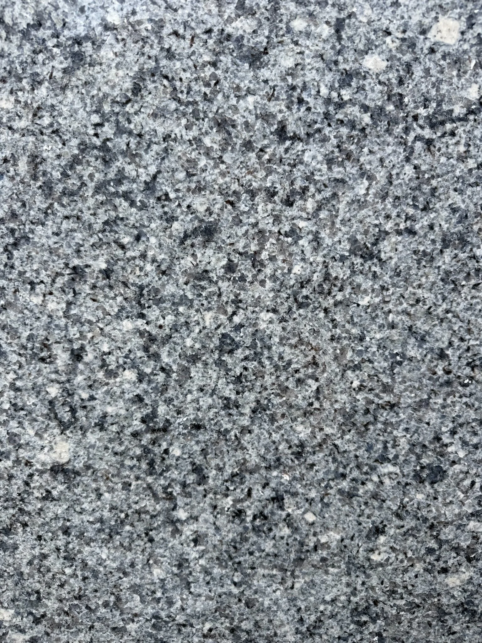 IMG_8067.jpeg