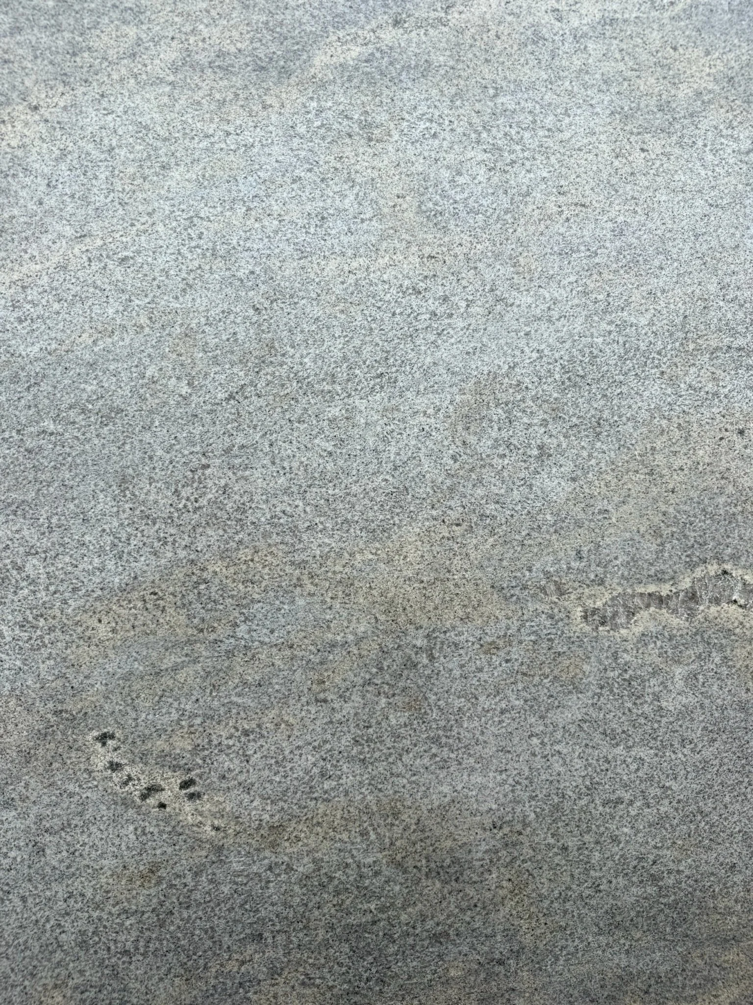 IMG_8078.jpeg
