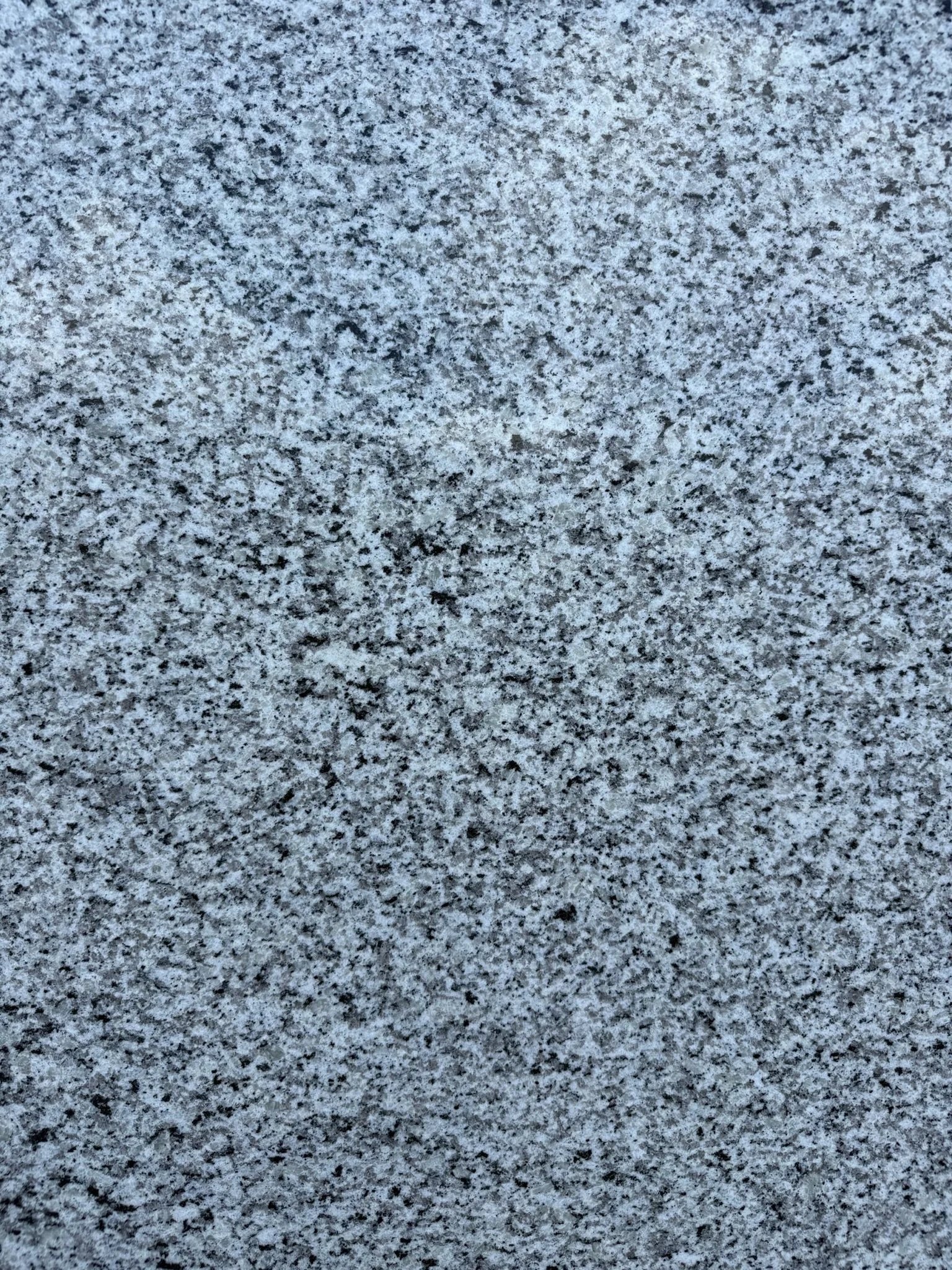 IMG_8068.jpeg