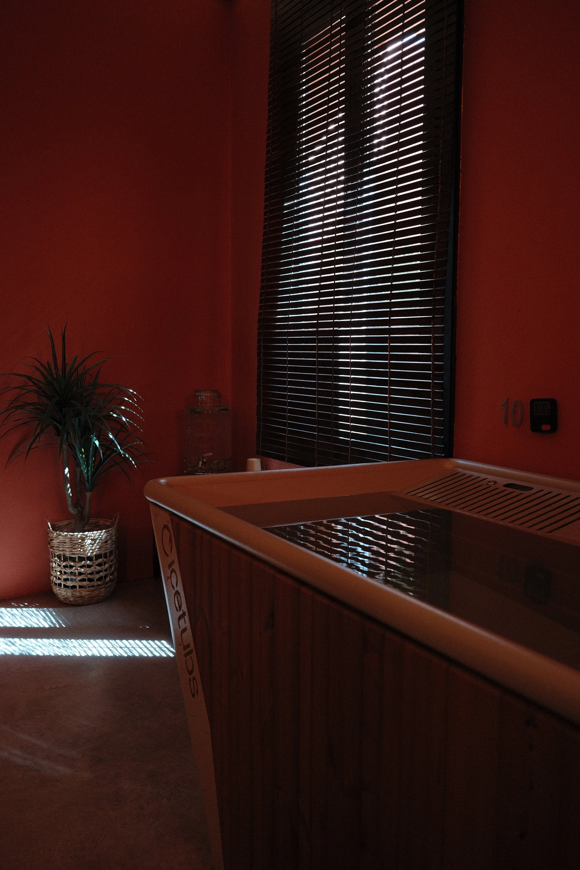 cold plunge in a relaxing studio with plants