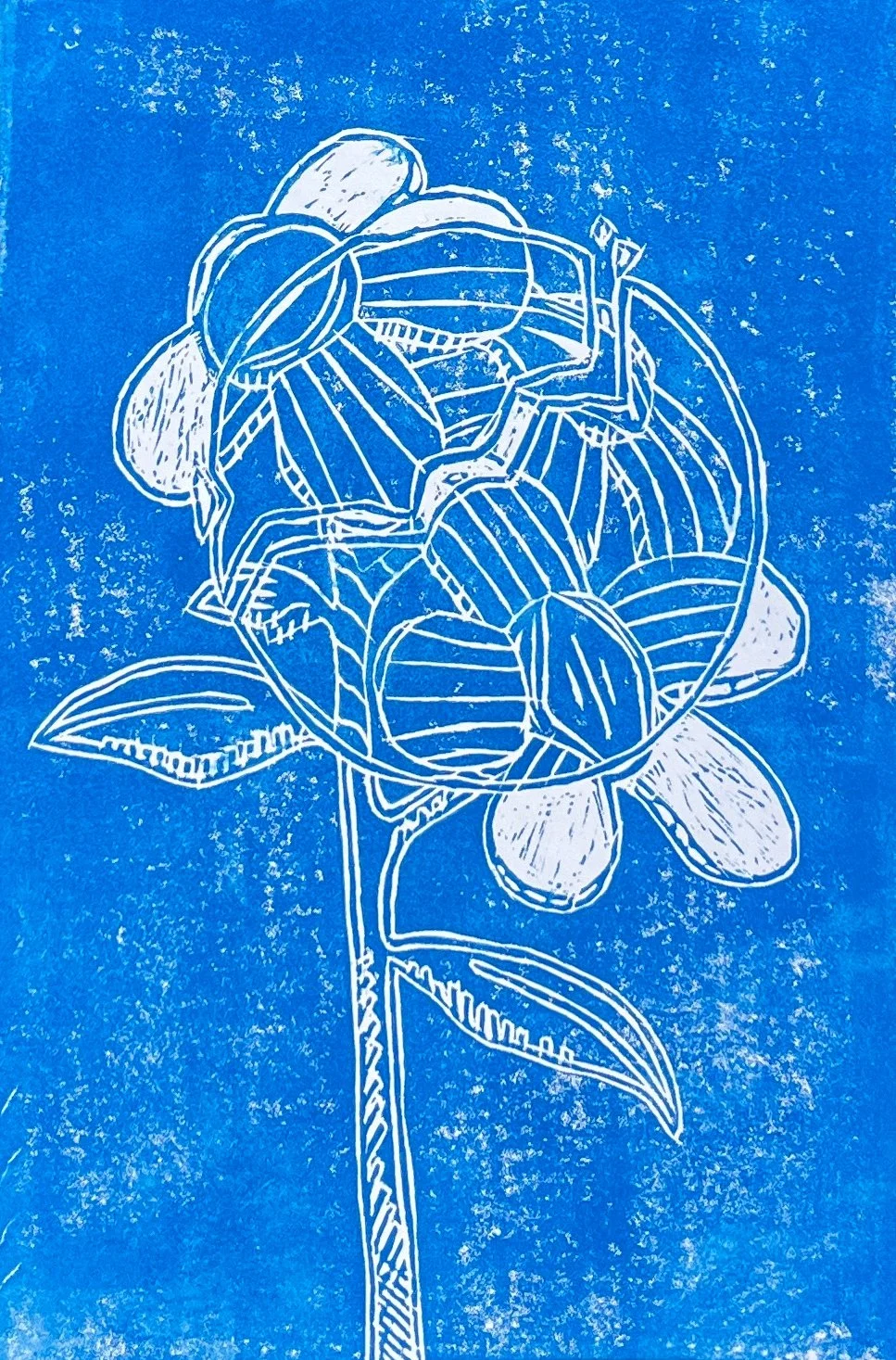 Flowering Portal by Lucille Clendenin, Linocut, Grade 7, Hyattsville Middle School, Teacher: Calcagno Heijkoop Edelweiss, Prince George's County Public Schools