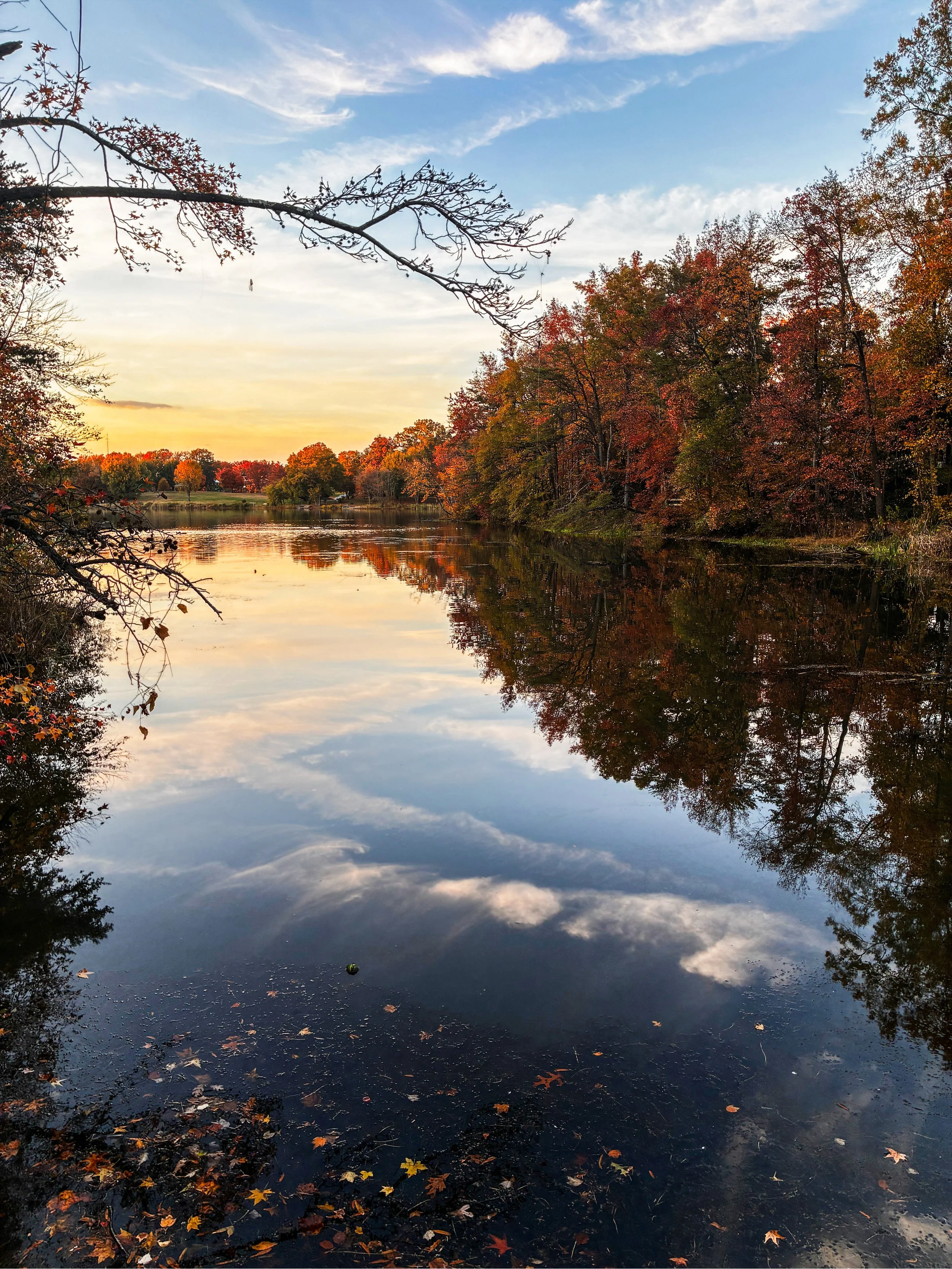 IMG_0098 - Denzel Hebron.jpeg