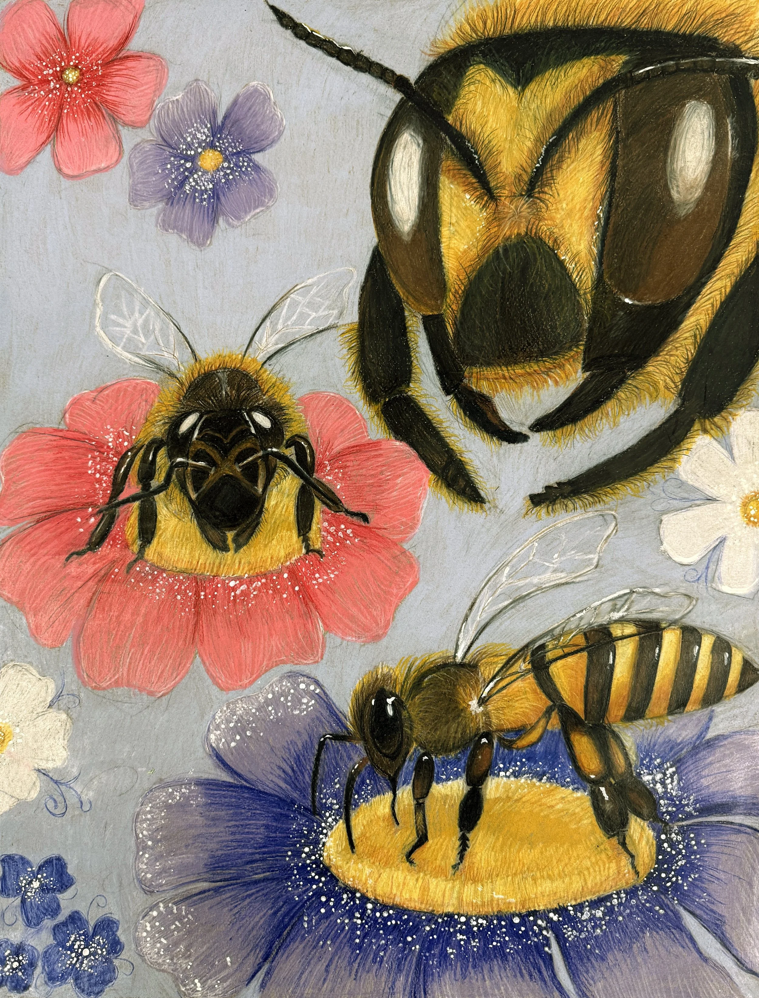 Untitled by Nathalie Monzon, Colored Pencil, Grade 10, Springbrook High School, Teacher: Kevin Franco, Montgomery County Public Schools