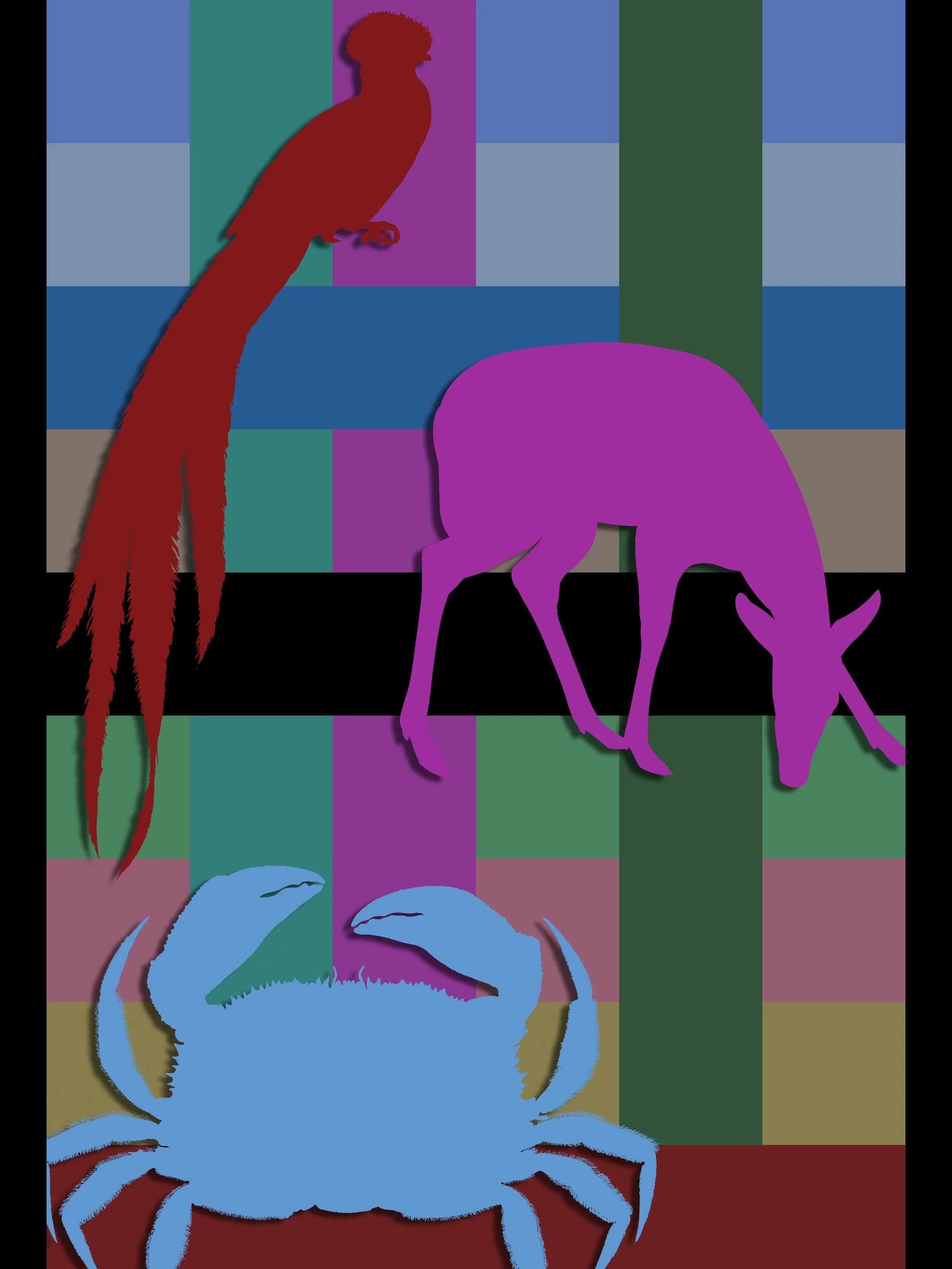 Blue Crab Silhouette by Aiden Portillo, Digital Illustration, Grade 10, Seneca Valley High School, Teacher: Katherine Hess, Montgomery County Public Schools