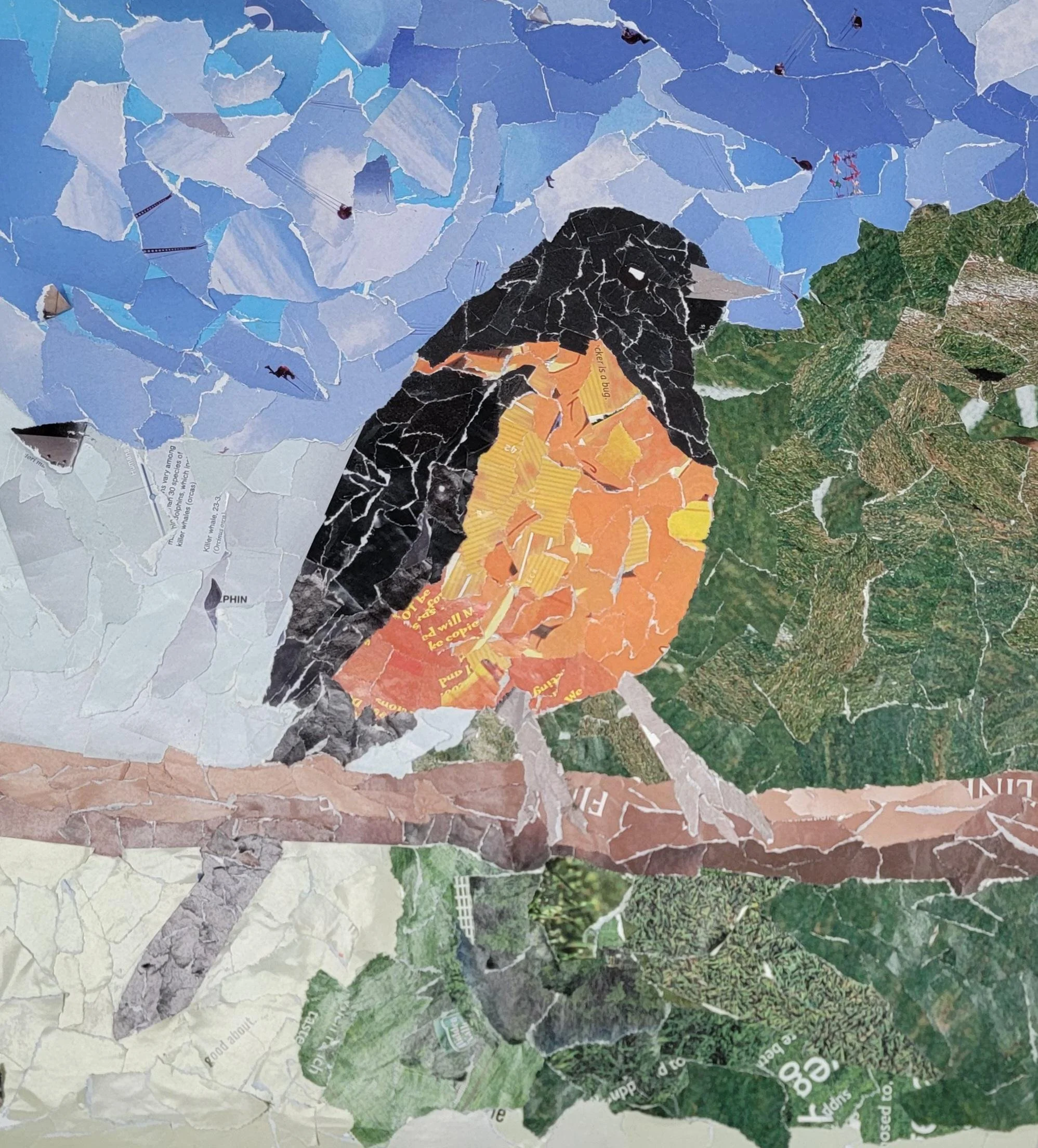 Bird on a Branch by Ezra Young, Collage, Grade 7, Pine Grove Middle School, Teacher: Vernon Fains, Baltimore County Public Schools