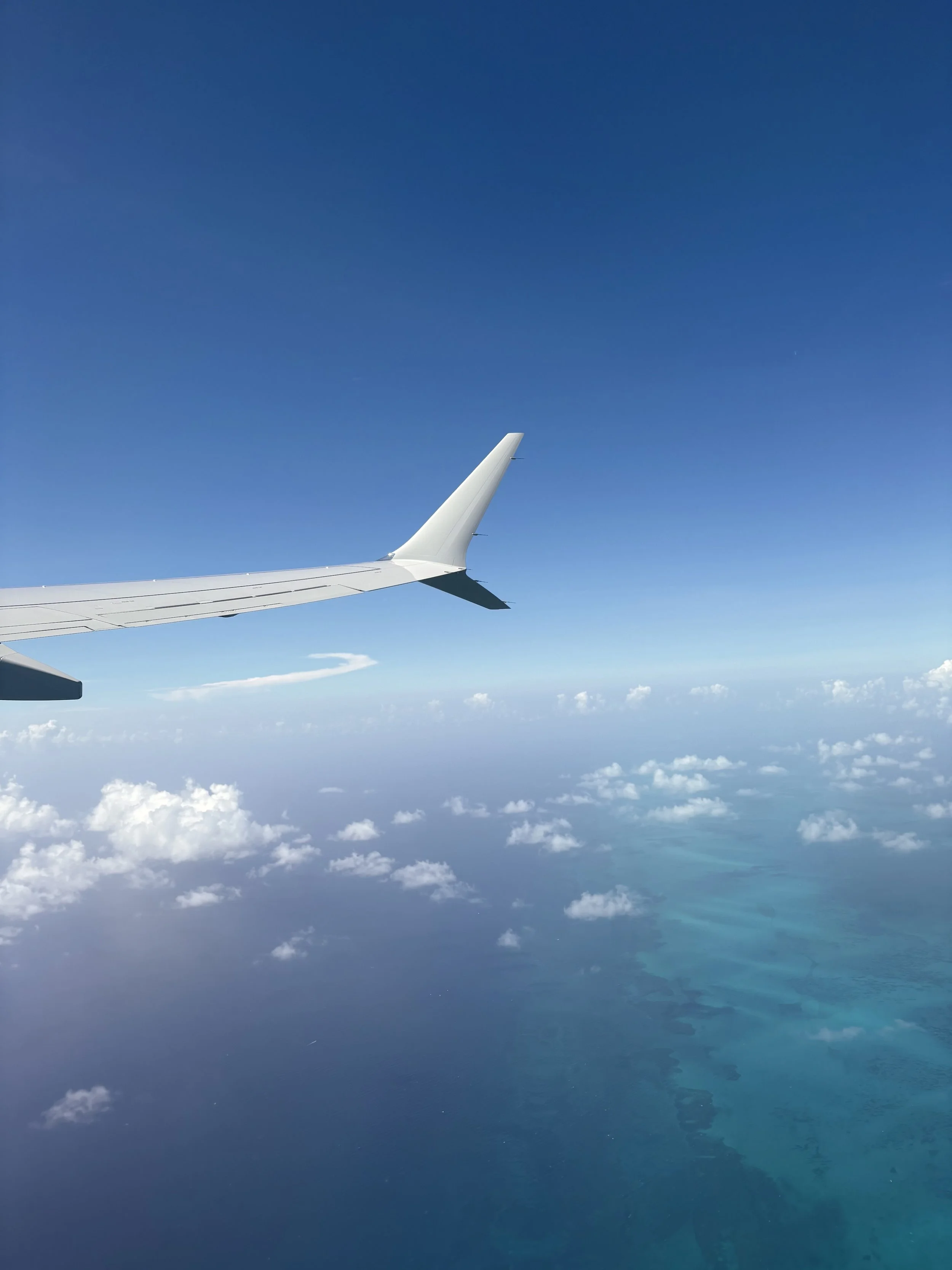 Nicholas' Plane View BWI by Nicholas Yarbough, Digital Photography, Grade 9, James Hubert Blake High School, Teacher: Melisa Matthews, Montgomery County Public Schools