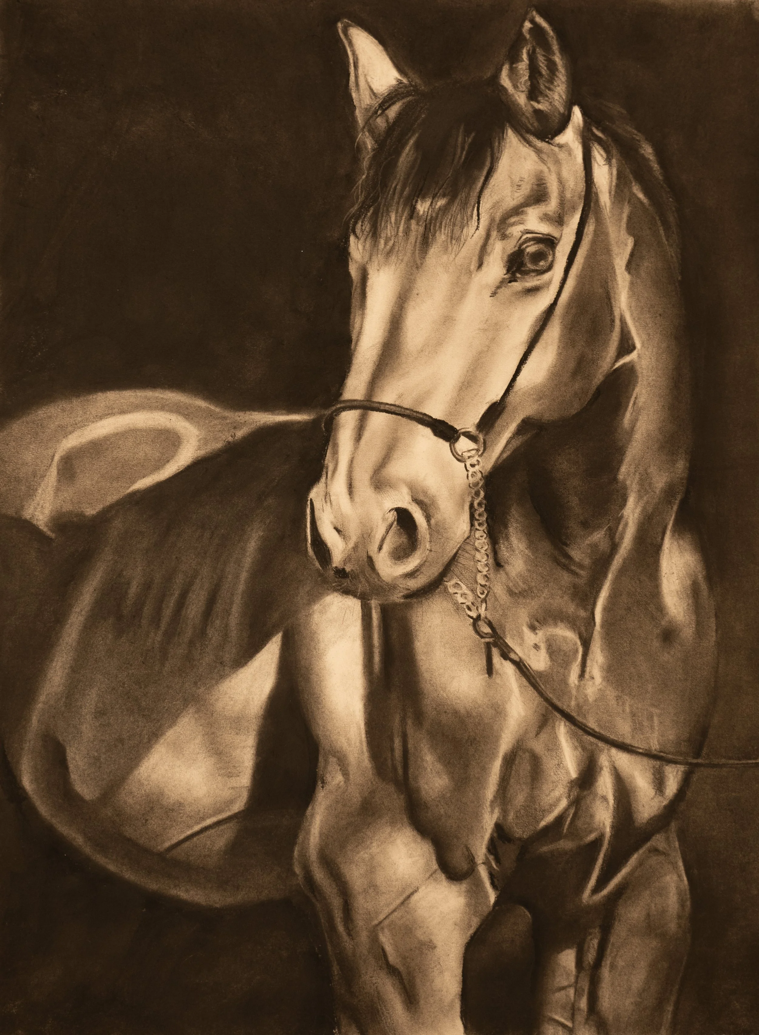 Through the Shadows by Sydney Case, Charcoal and Graphite, Grade 11, River Hill High School, Teacher: Caroline Appel, Howard County Public Schools