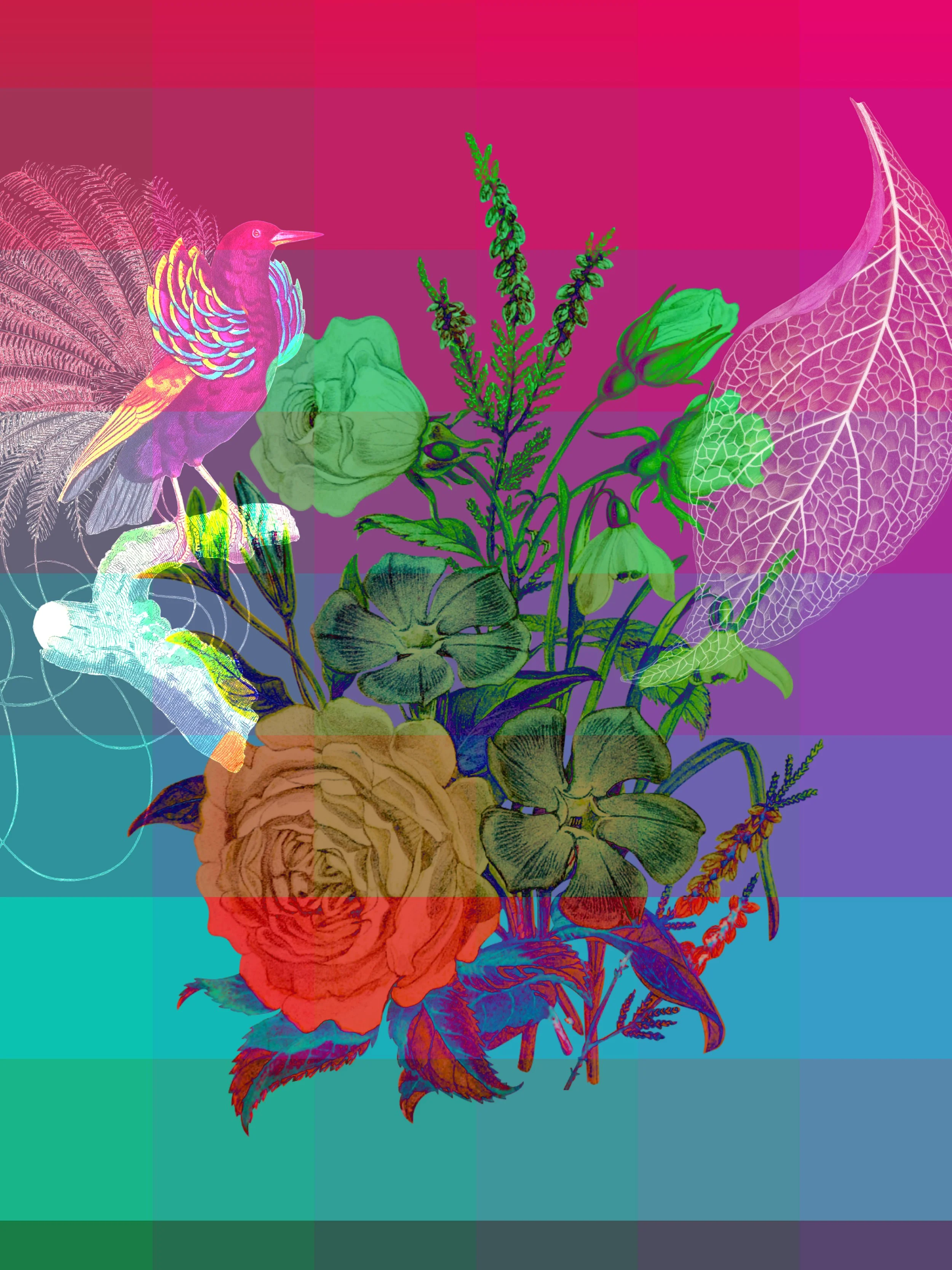 Grid with Flower Collage by Juan Aguirre Avendano, Composite Photography, Grade 9, Seneca Valley High School, Teacher: Katherine Hess, Montgomery County Public Schools