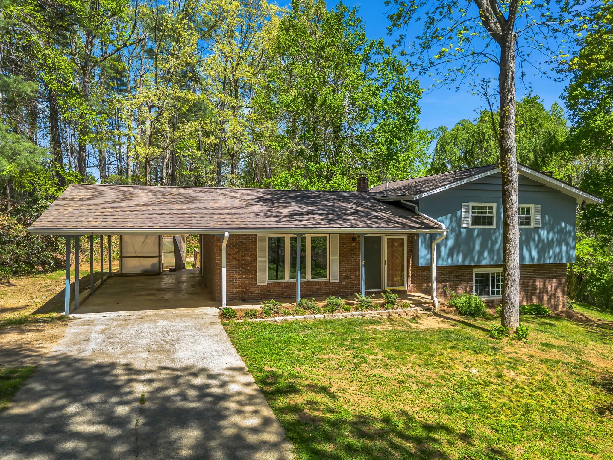 6-web-or-mls-678-firefly-ln.jpg