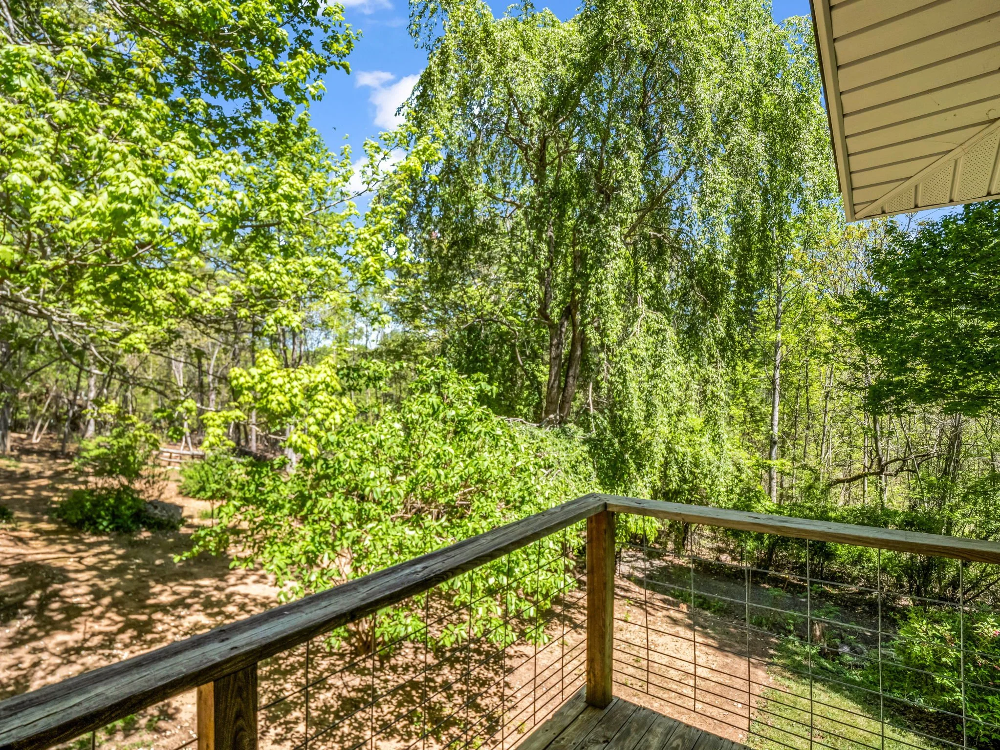 36-web-or-mls-678-firefly-ln.jpg