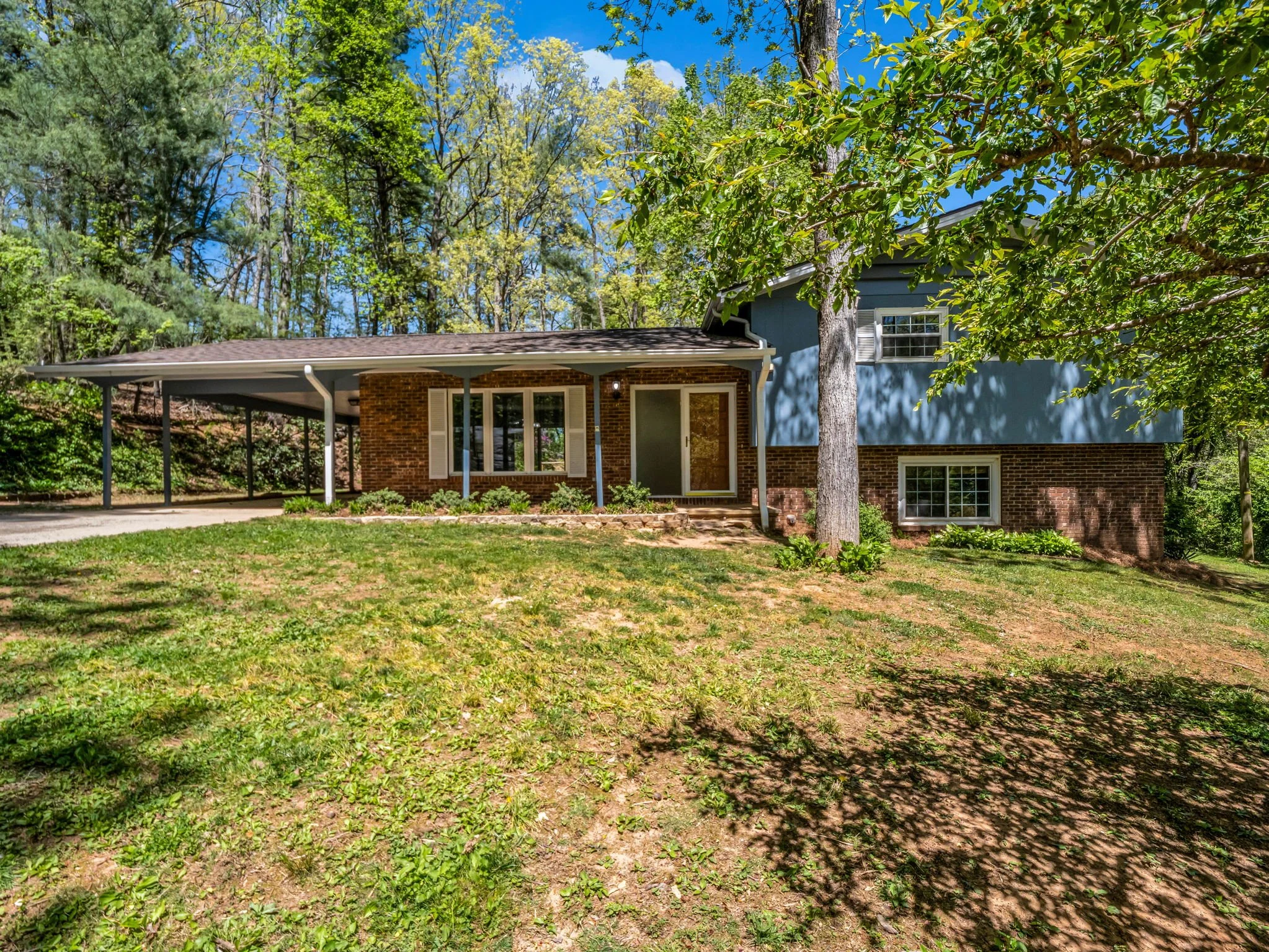 10-web-or-mls-678-firefly-ln.jpg