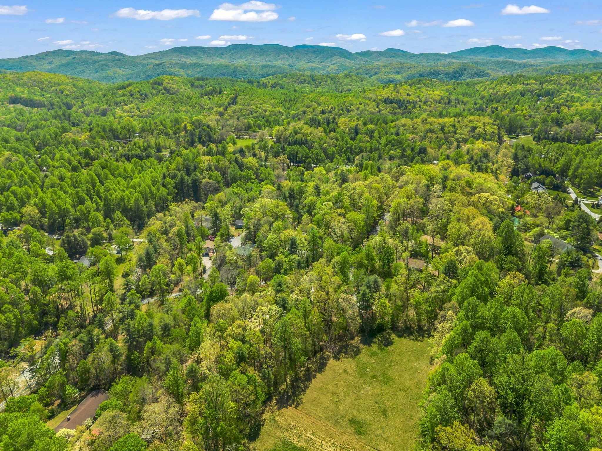 61-web-or-mls-678-firefly-ln.jpg