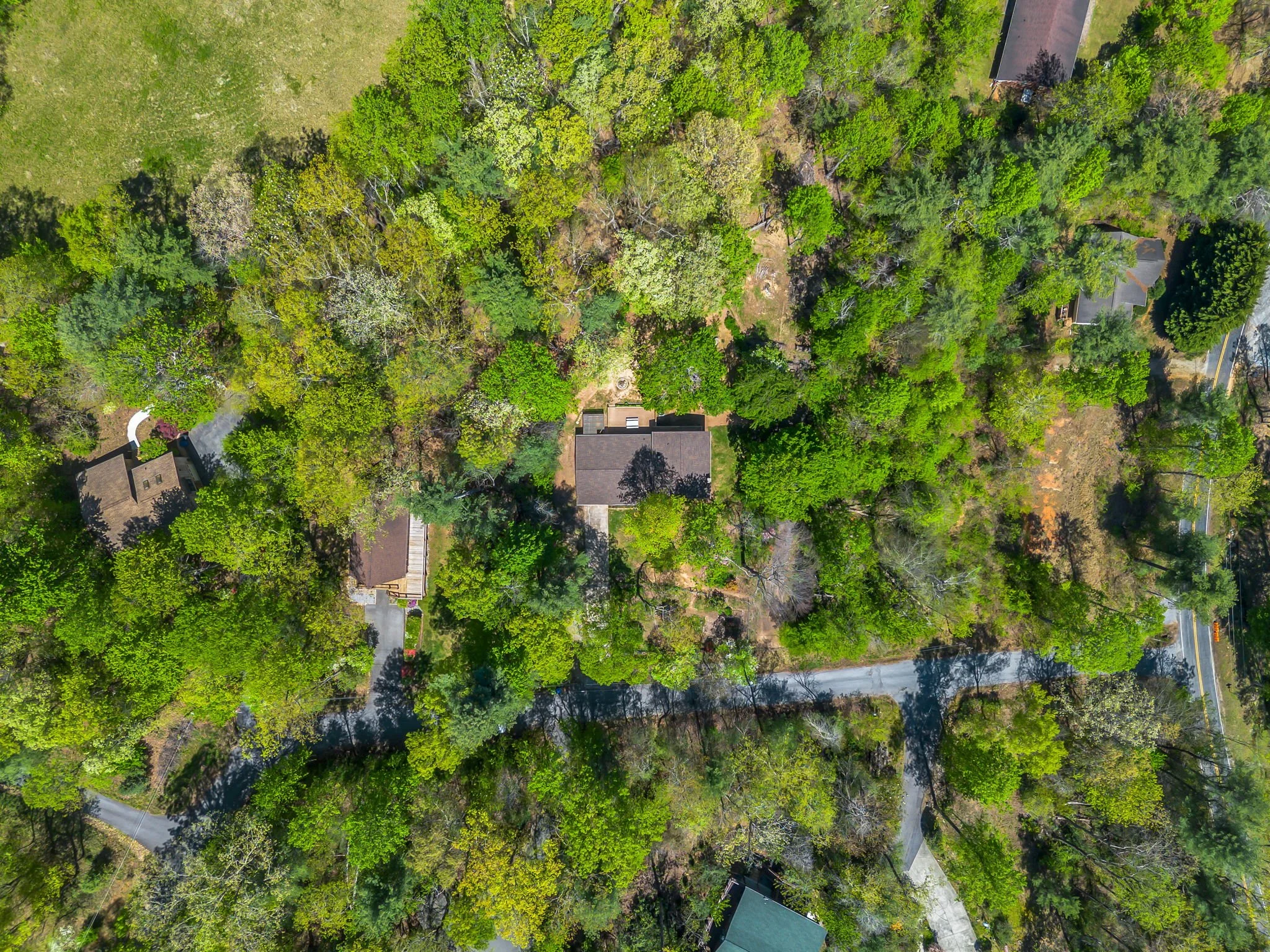 56-web-or-mls-678-firefly-ln.jpg