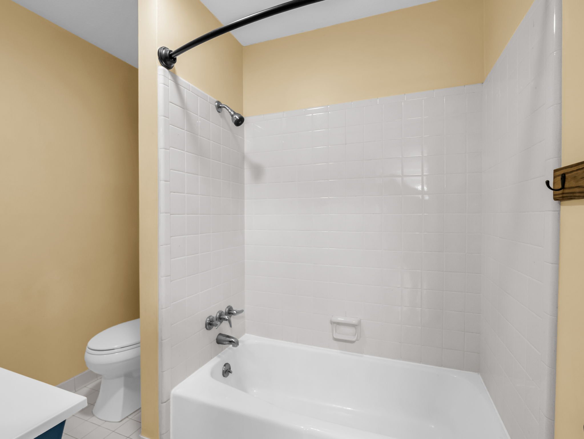 29-web-or-mls-678-firefly-ln.jpg