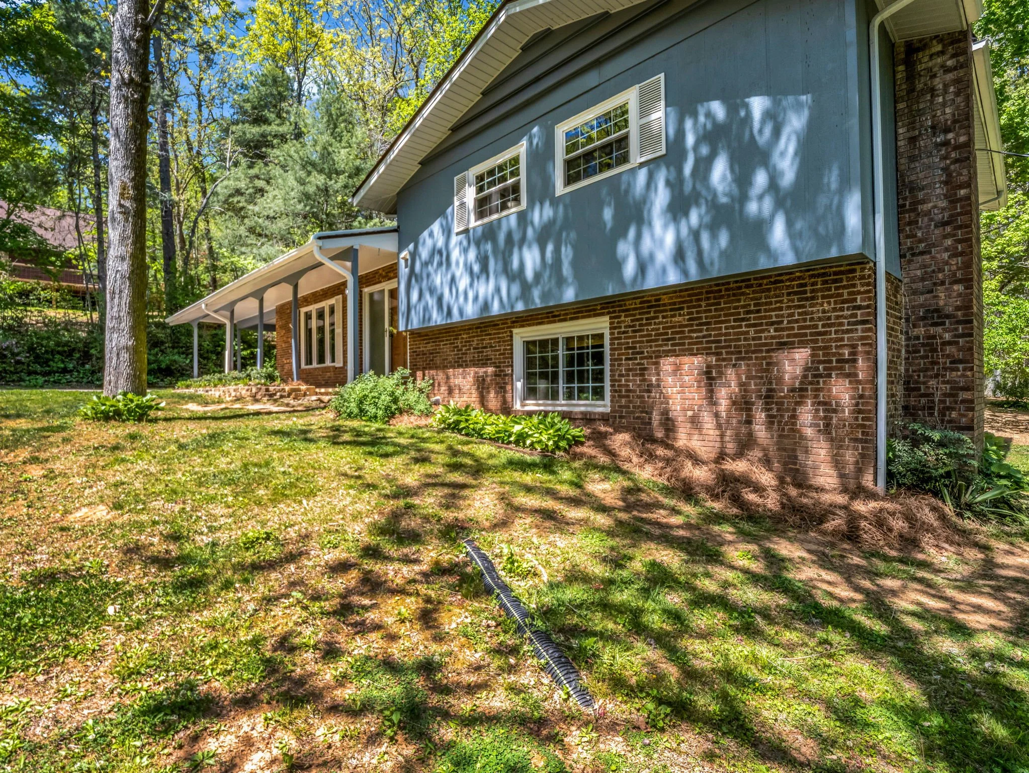 12-web-or-mls-678-firefly-ln.jpg