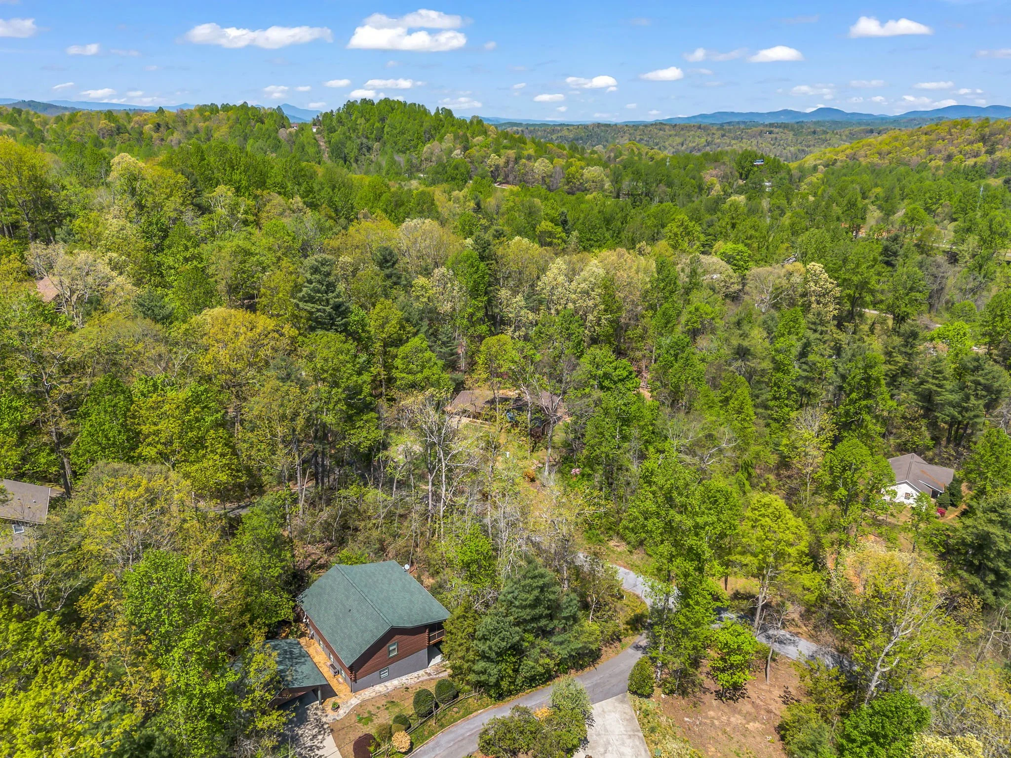 62-web-or-mls-678-firefly-ln.jpg
