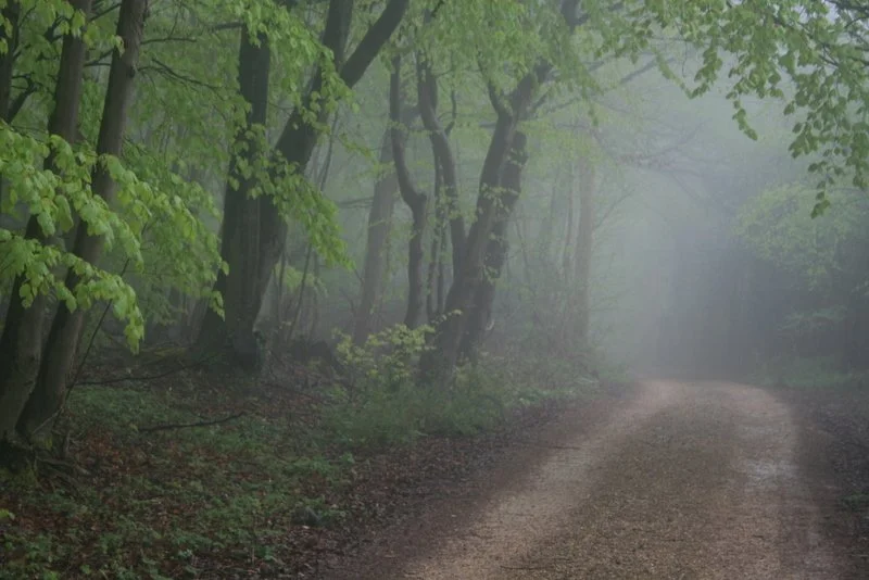 mist shoot  urban079.jpg