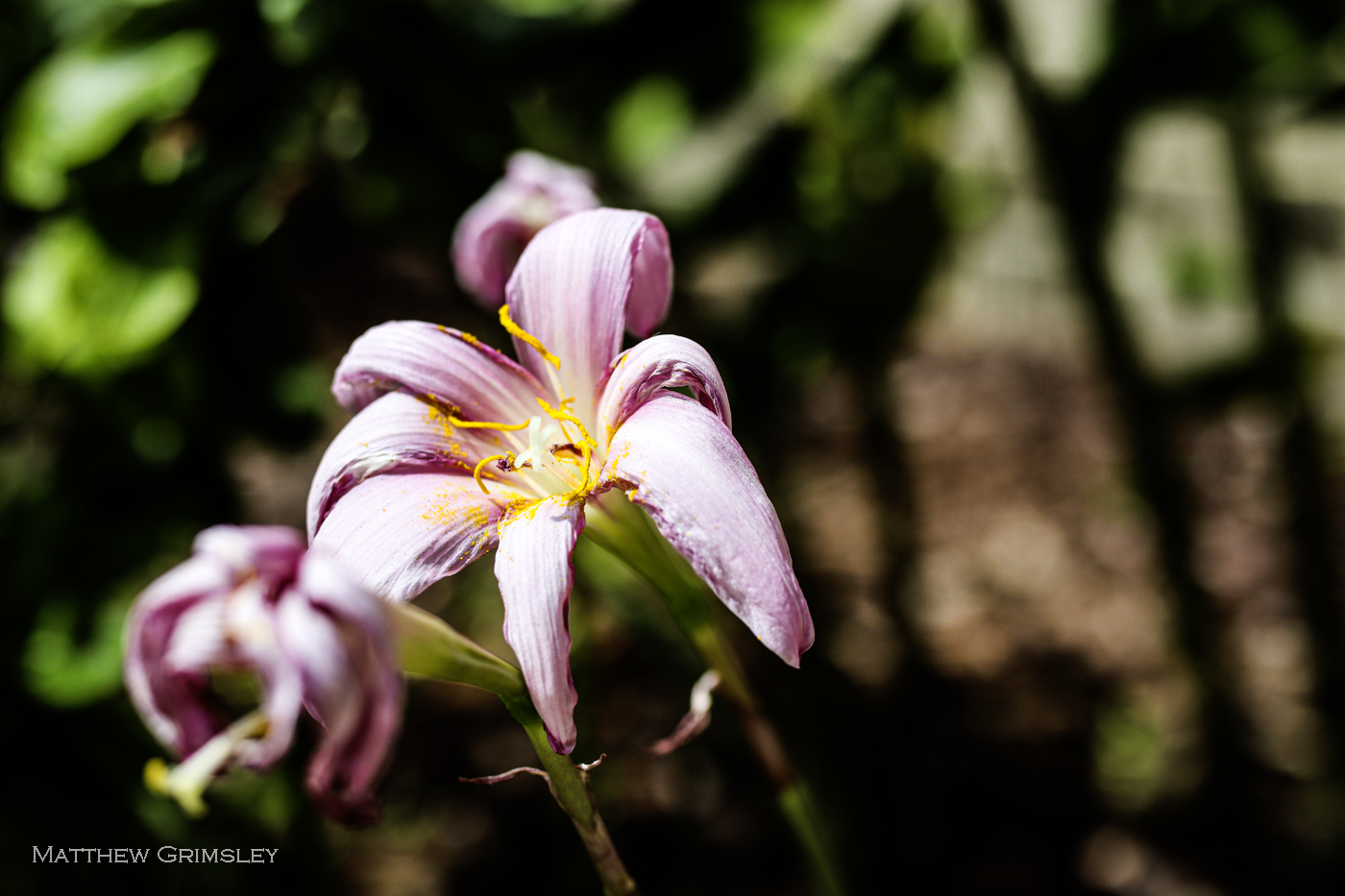 IMG_5256.png