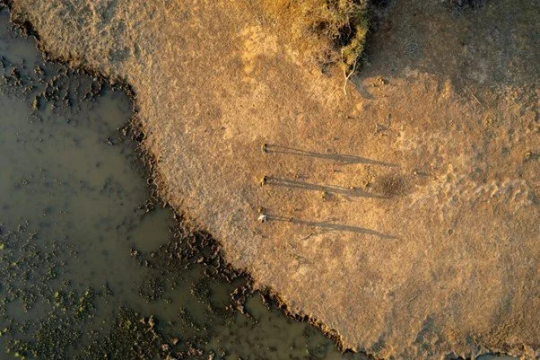 Aerial view of three yellow boats docked along a shoreline with muddy and sandy terrain, water on the left.