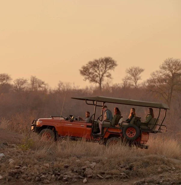 A safari vehicle in South Africa with four people inside, driving through a dry, grassy landscape with sparse trees under a pale sky at sunset.