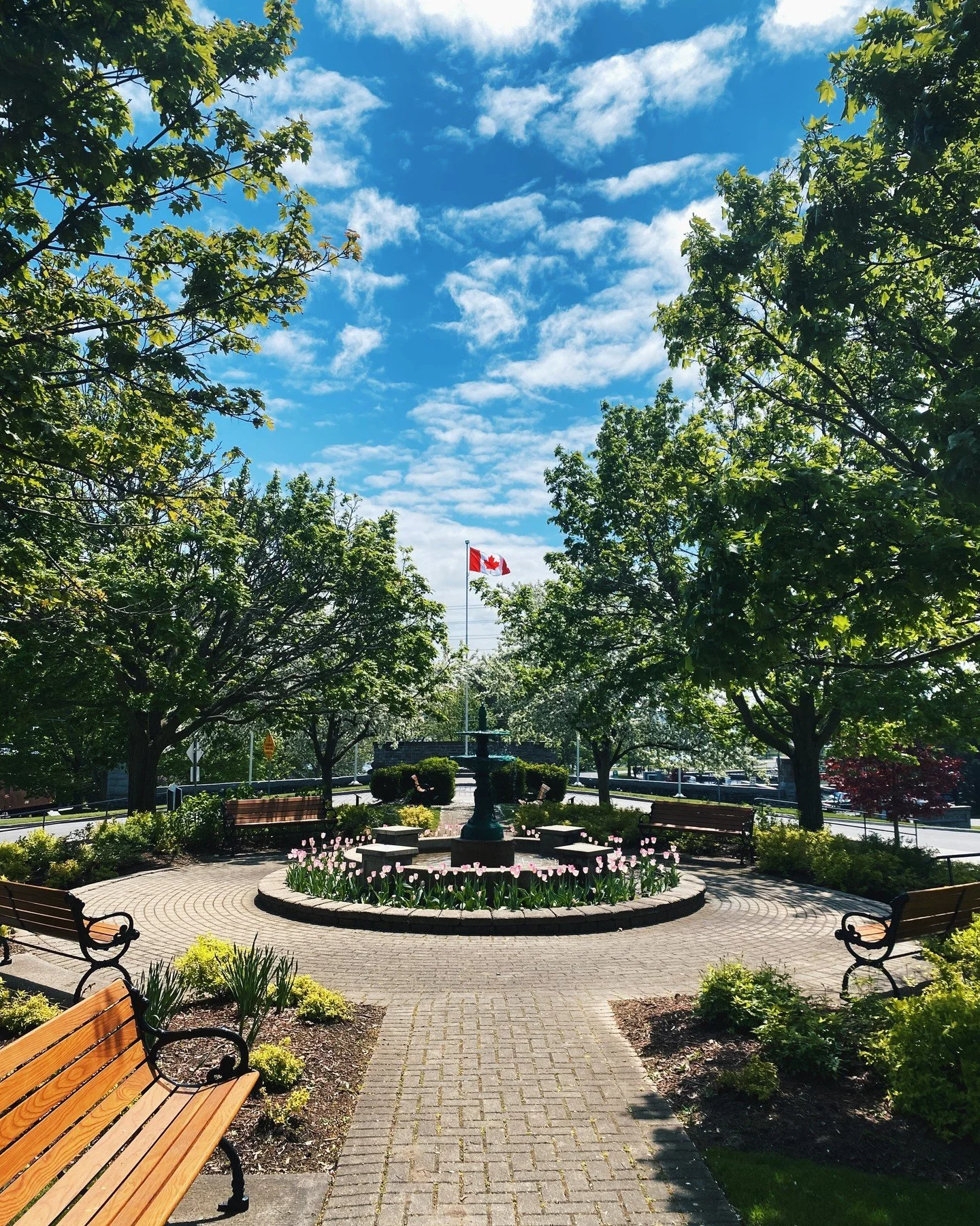 Happy First Day of Spring! 🌷

There is something refreshing about a new season, longer days ahead, and a fresh energy building throughout Downtown Brockville. It is the perfect time to get out for a stroll, visit your favourite local spots, and see 