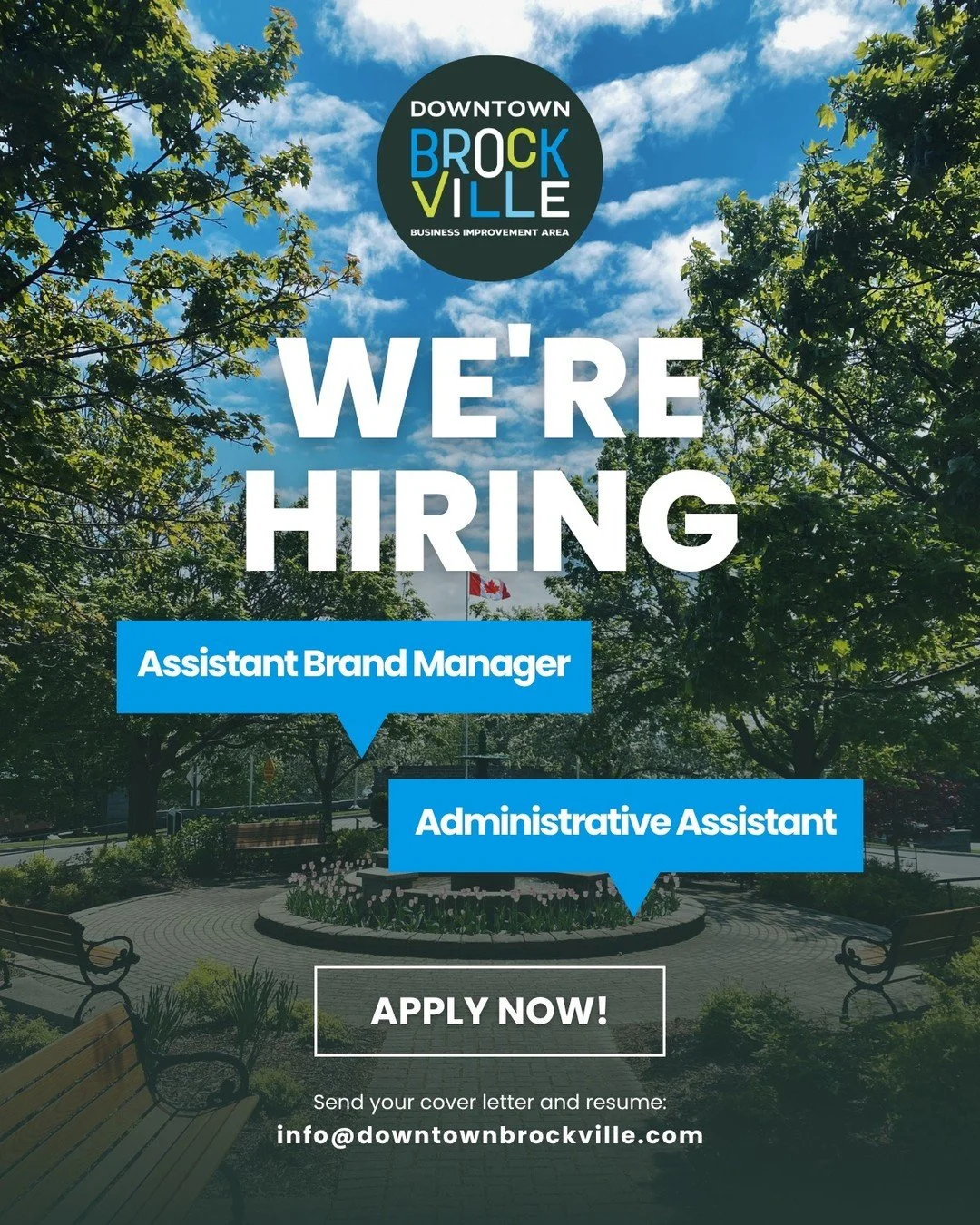 We're Hiring!

The Downtown Brockville BIA is hiring for two exciting summer positions, Assistant Brand Manager and Administrative Assistant. This is a great opportunity to gain hands on experience, build skills, and be part of the vibrant downtown c