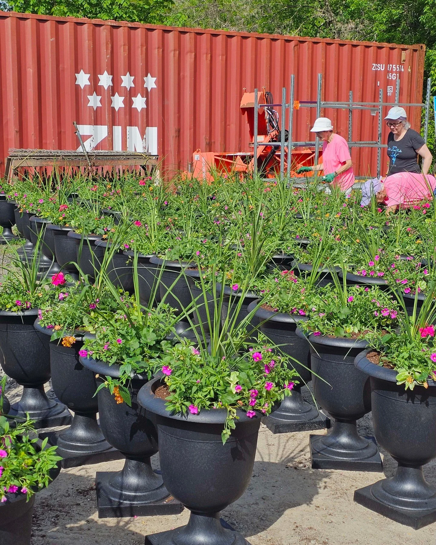 Planters with a Purpose is officially coming to life in Downtown Brockville! 🌿

Yesterday, 25 incredible BRAVO volunteers filled 100 planters with soil and plants in just half an hour. This morning, the Downtown Brockville BIA, @cityofbrockville, an